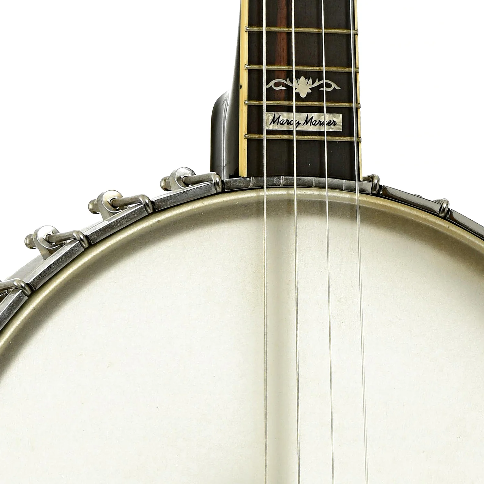 Gold Tone CEB-4 Cello Banjo (2019) - Image 6