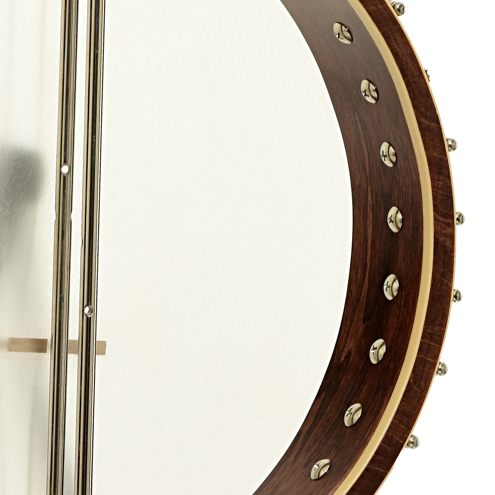 Gold Tone CEB-4 Cello Banjo & Case - Image 10