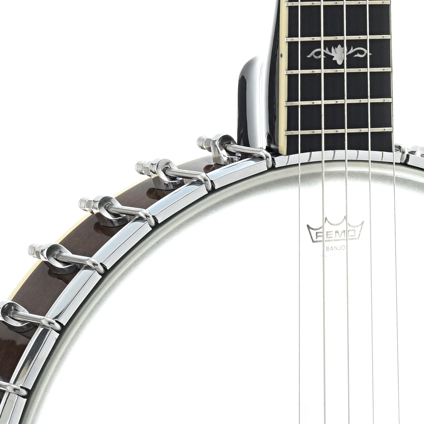 Gold Tone CEB-5 5-String Cello Banjo & Case - Image 6