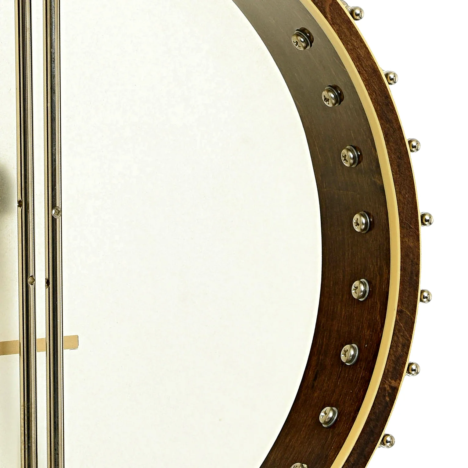 Gold Tone CEB-5 5-String Cello-Banjo (2014) - Image 10