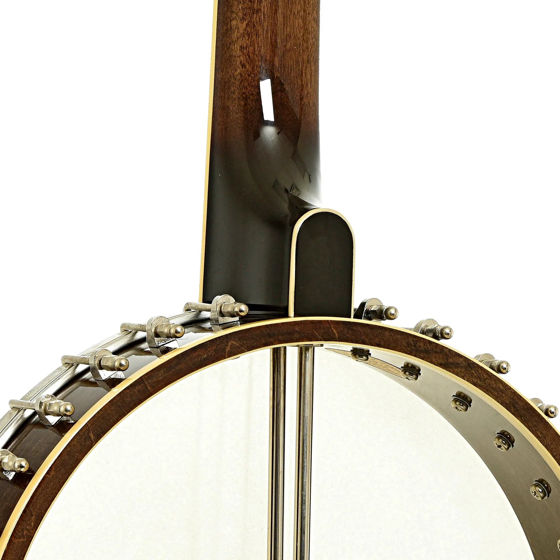 Gold Tone CEB-5 5-String Cello-Banjo (2014) - Image 11