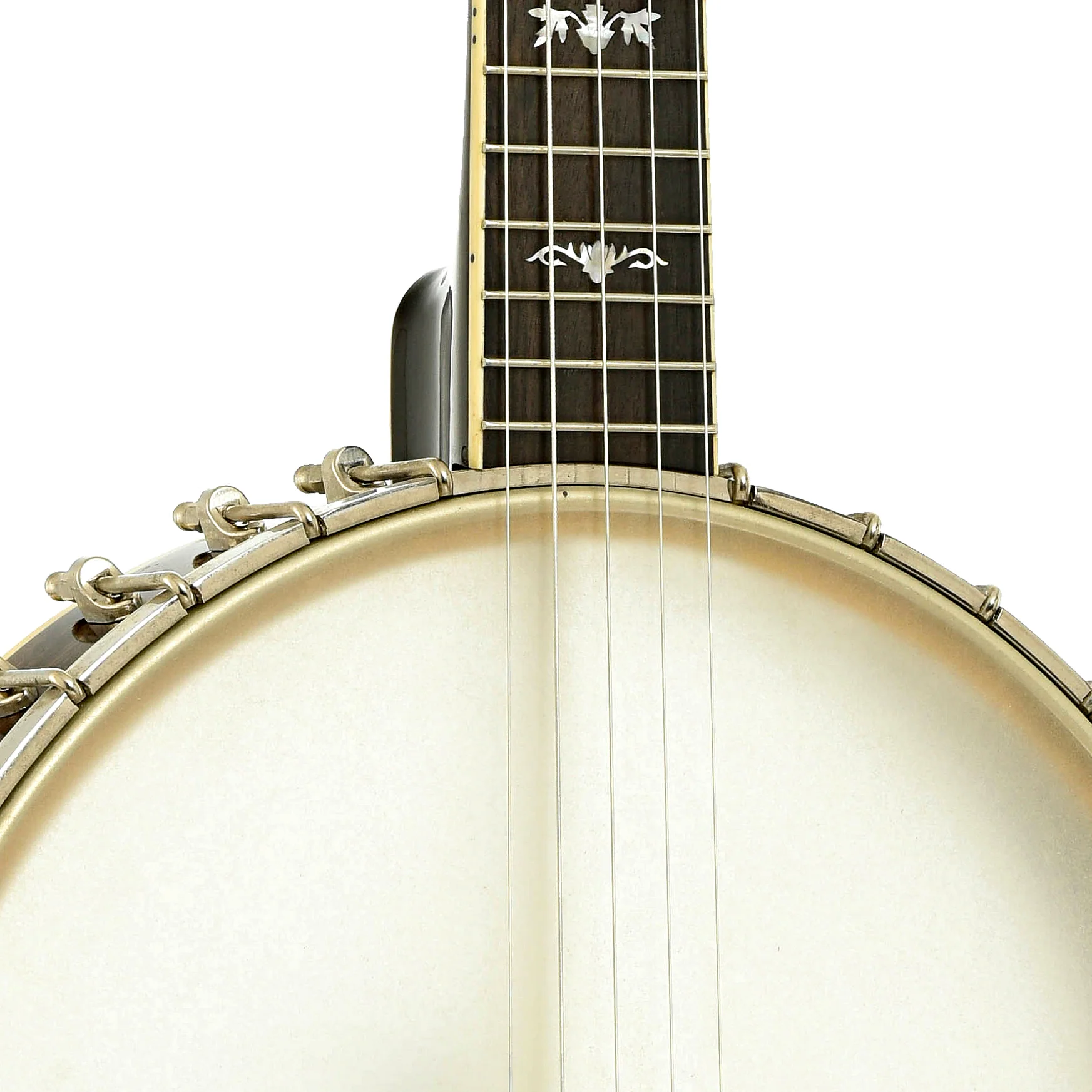 Gold Tone CEB-5 5-String Cello-Banjo (2014) - Image 6
