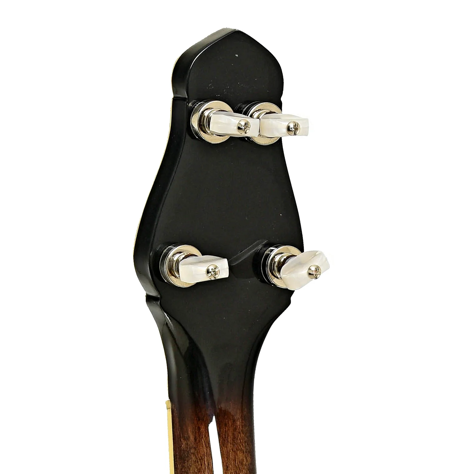 Gold Tone CEB-5 5-String Cello-Banjo (2014) - Image 9