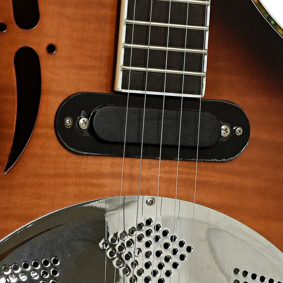 Gold Tone Dojo Deluxe (2016) - Image 6