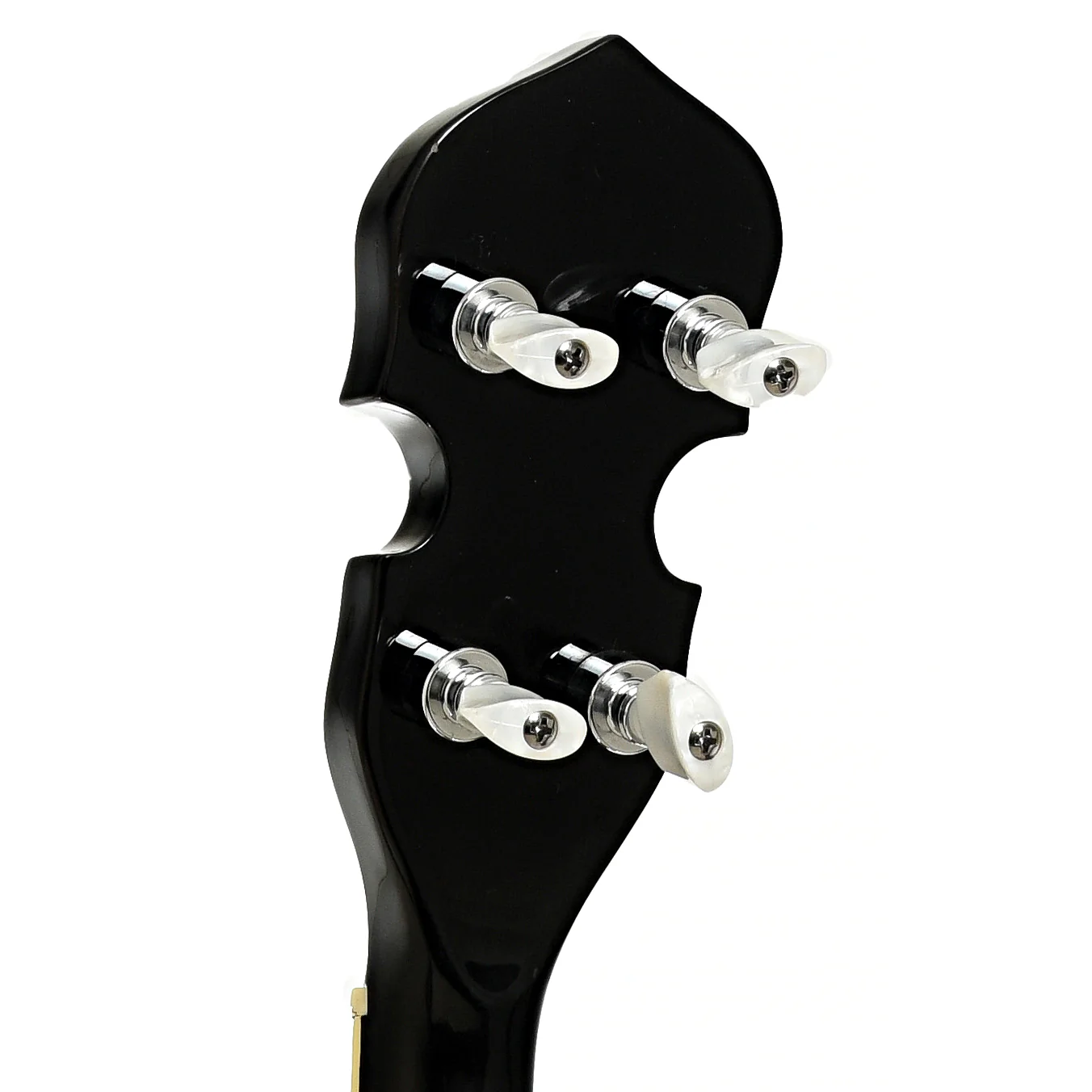 Gold Tone Dojo Deluxe (2016) - Image 9