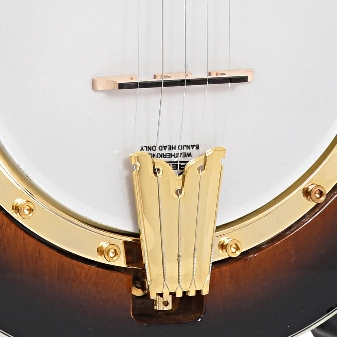 Gold Tone EBM-5 5-String Electric Banjo & Case - Image 4