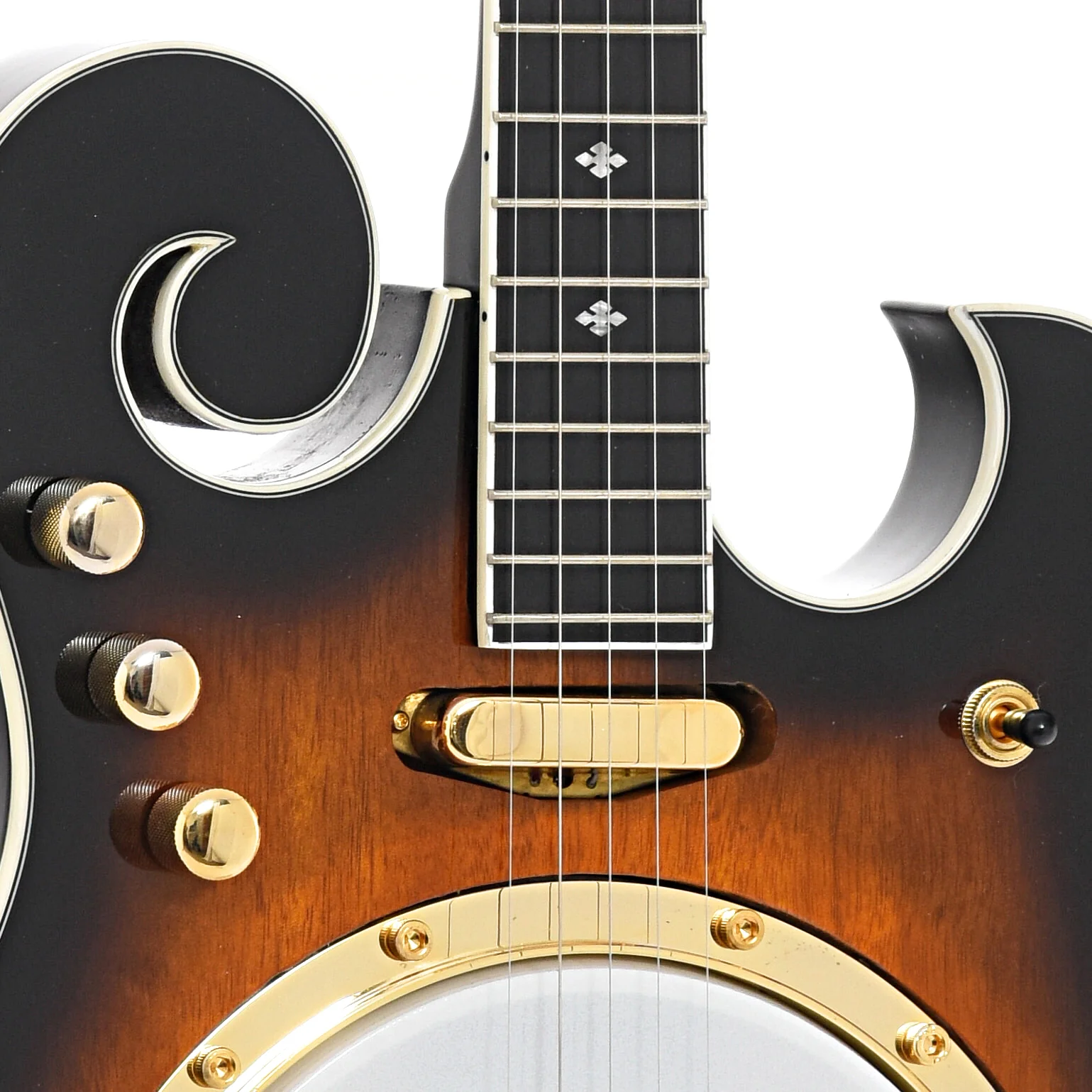 Gold Tone EBM-5 5-String Electric Banjo & Case - Image 5