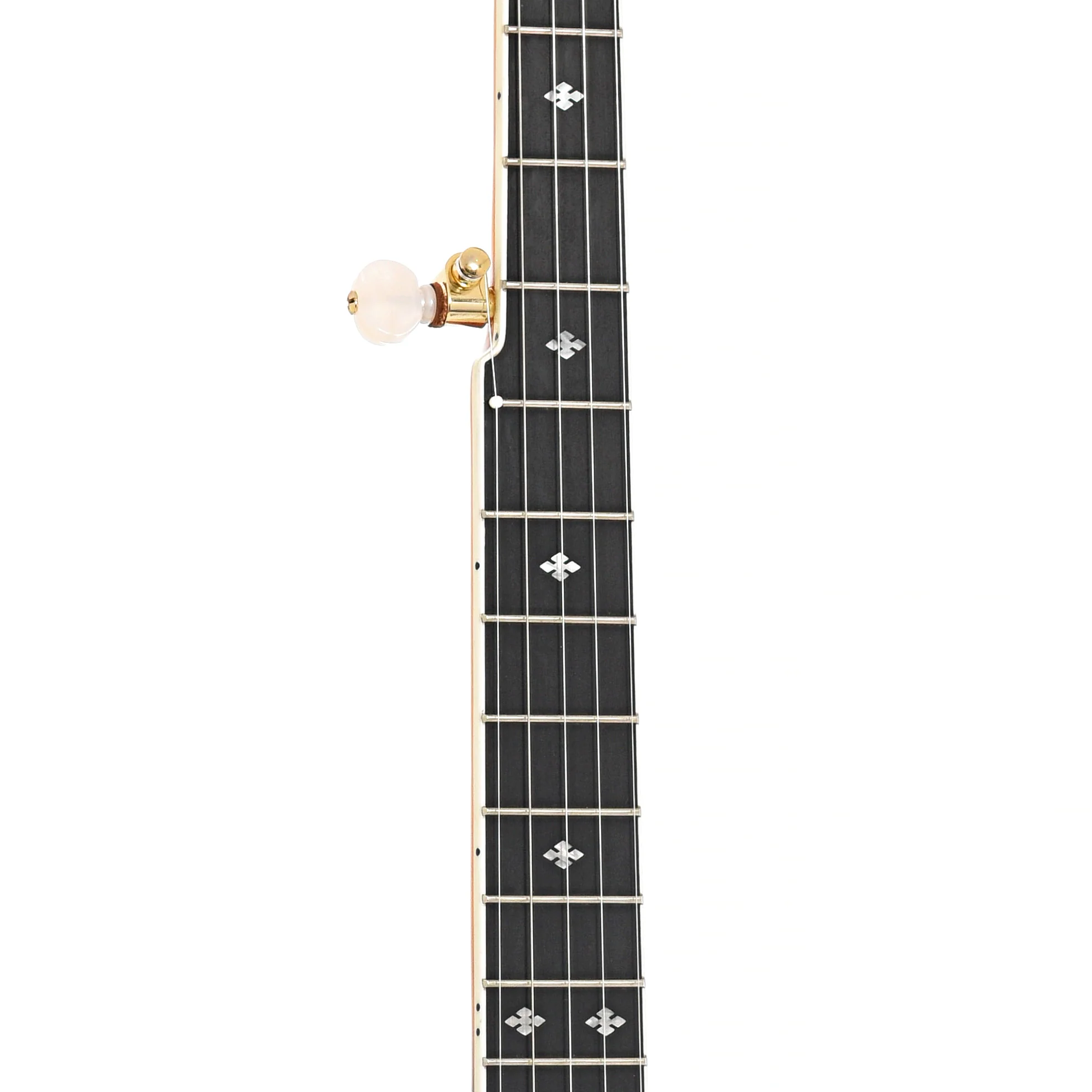 Gold Tone EBM-5 5-String Electric Banjo & Case - Image 6