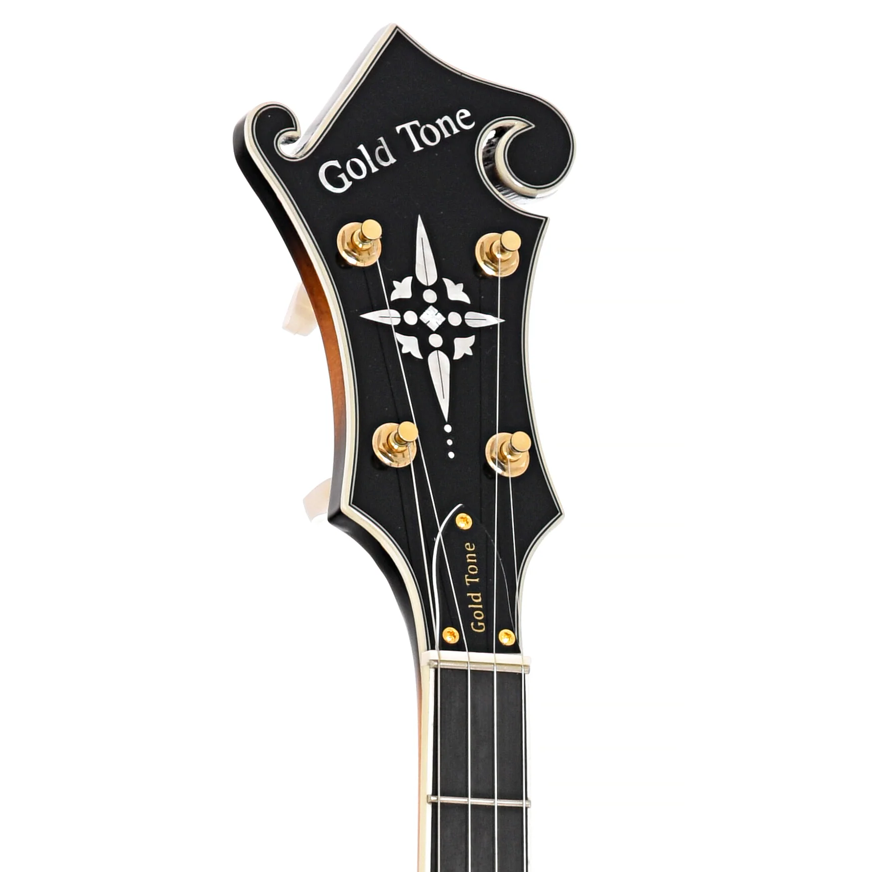 Gold Tone EBM-5 5-String Electric Banjo & Case - Image 7