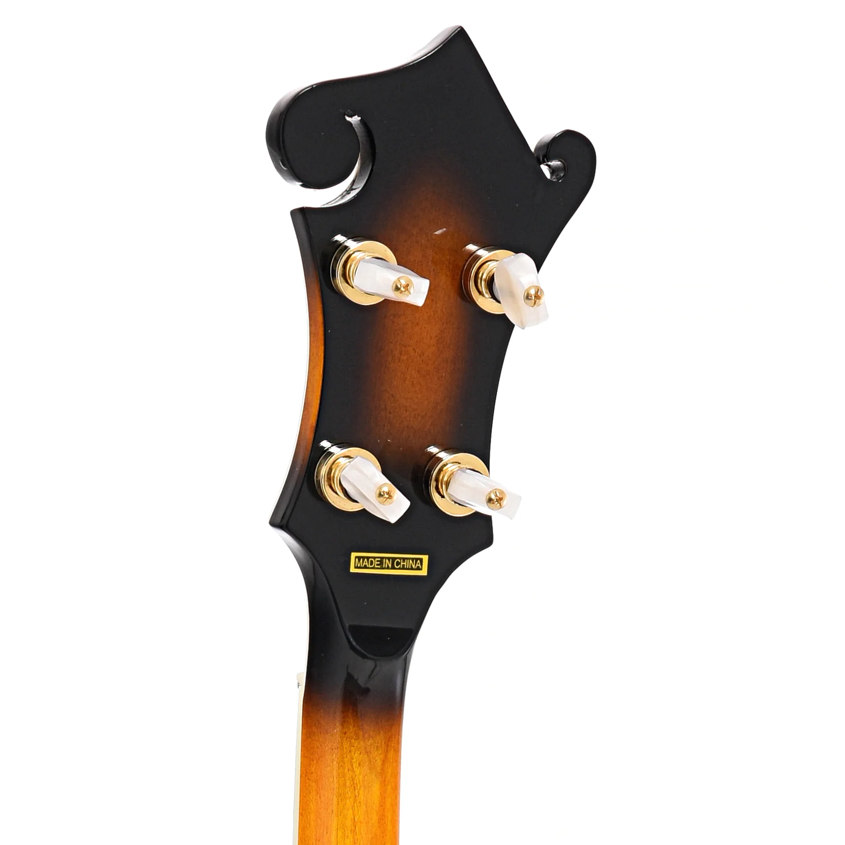 Gold Tone EBM-5 5-String Electric Banjo & Case - Image 8