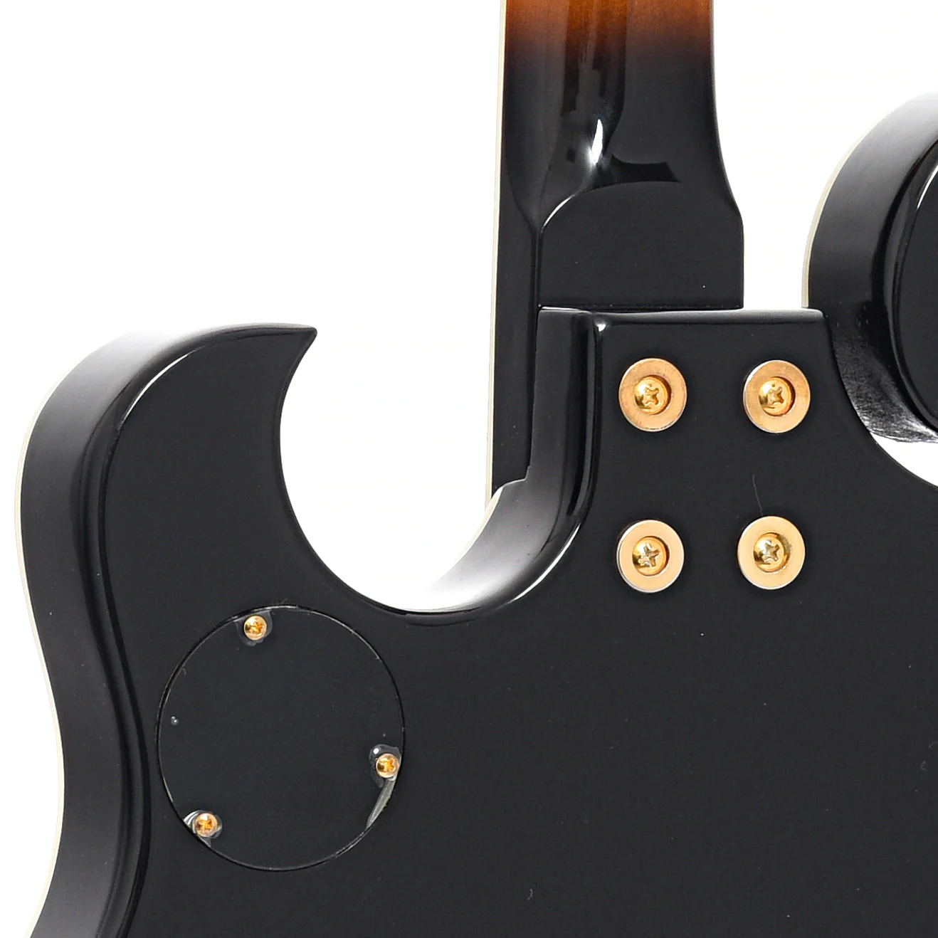 Gold Tone EBM-5 5-String Electric Banjo & Case - Image 9
