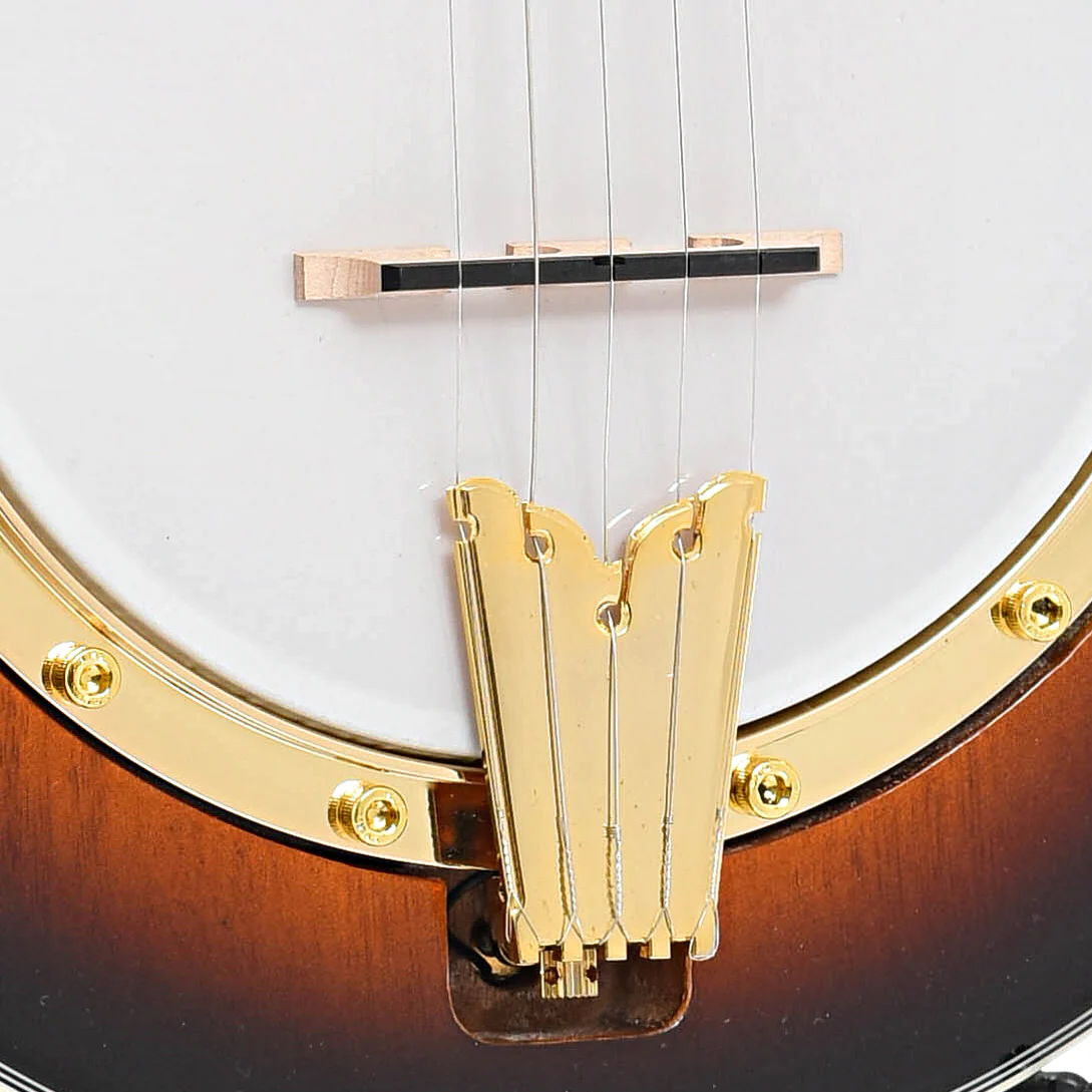 Gold Tone EBM-5 Electric 5-String Banjo (recent) - Image 5