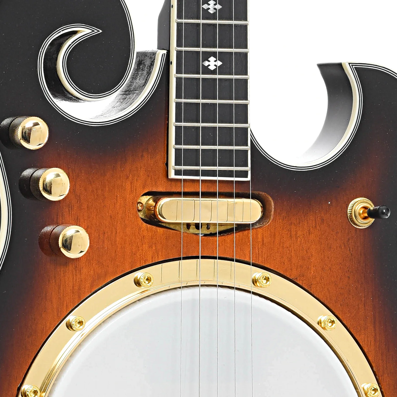 Gold Tone EBM-5 Electric 5-String Banjo (recent) - Image 6