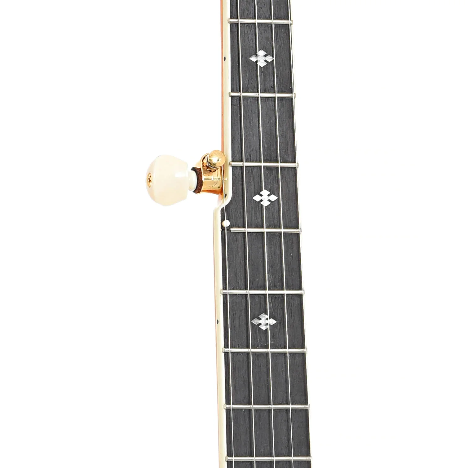 Gold Tone EBM-5 Electric 5-String Banjo (recent) - Image 7