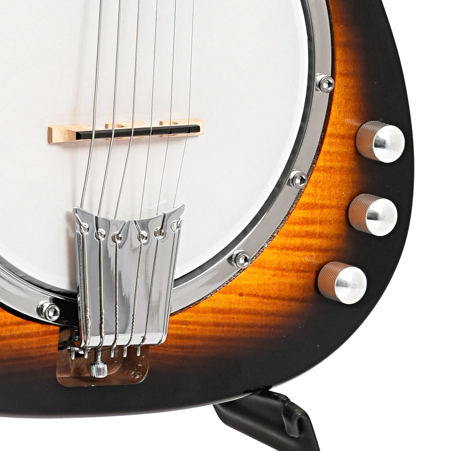 Gold Tone Es-Banjitar Banjo Guitar & Case - Image 5