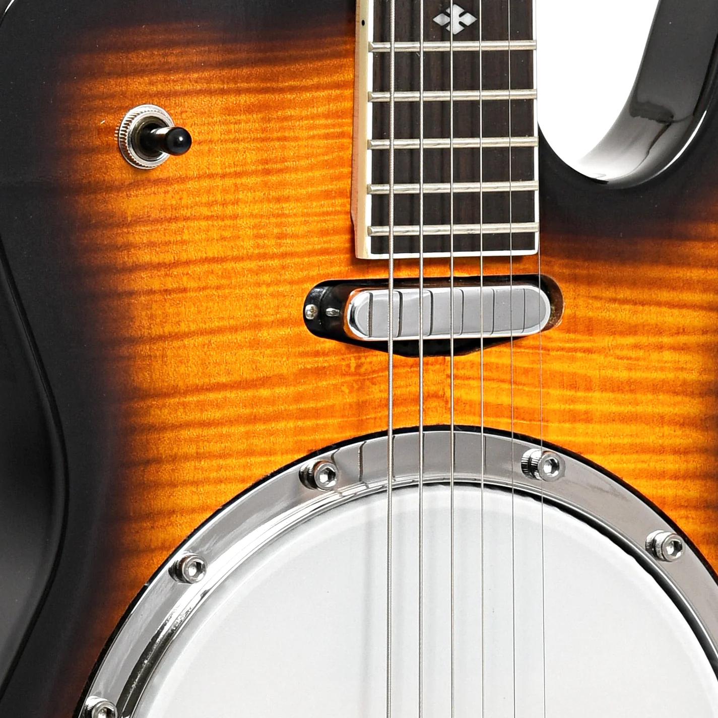 Gold Tone Es-Banjitar Banjo Guitar & Case - Image 6