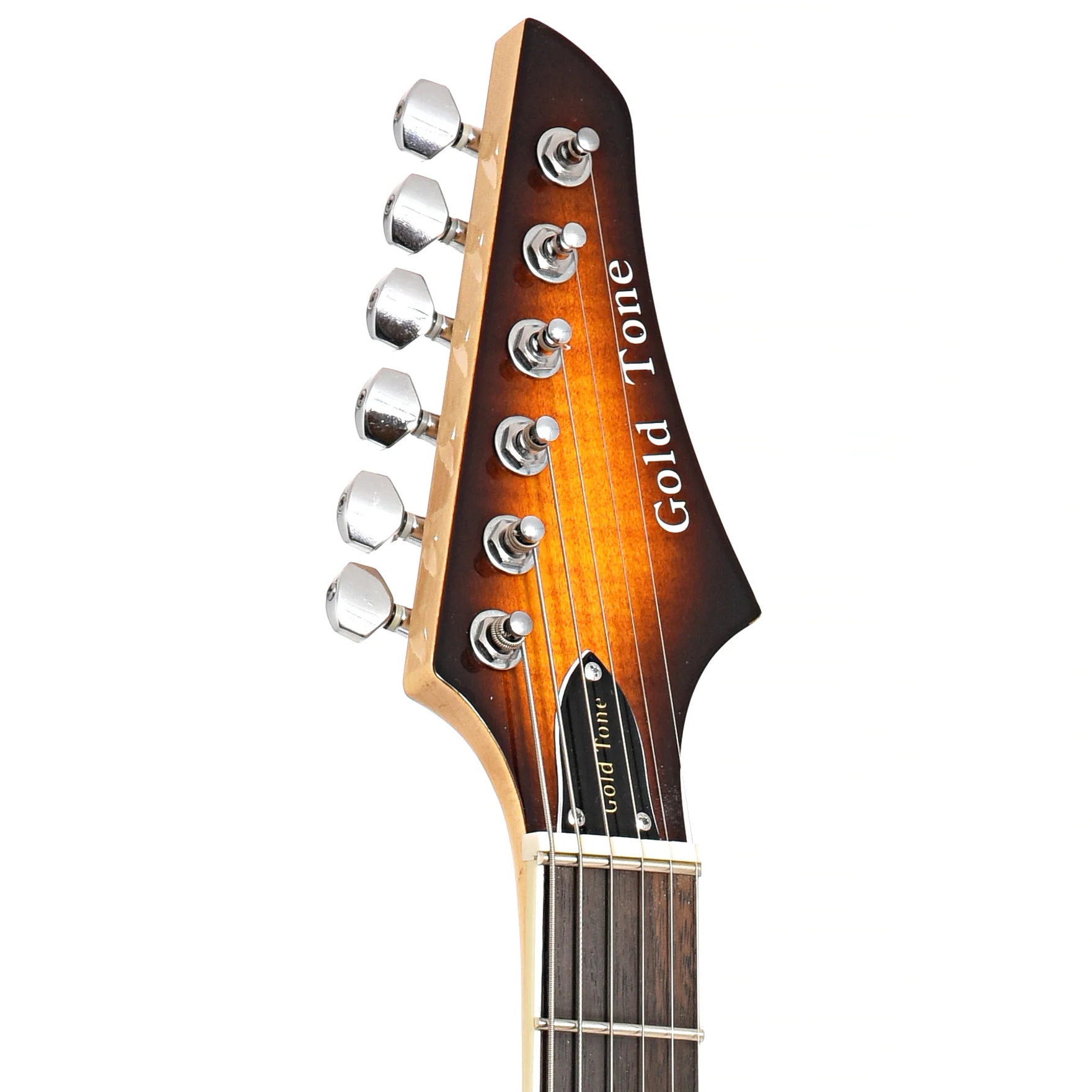 Gold Tone Es-Banjitar Banjo Guitar & Case - Image 8