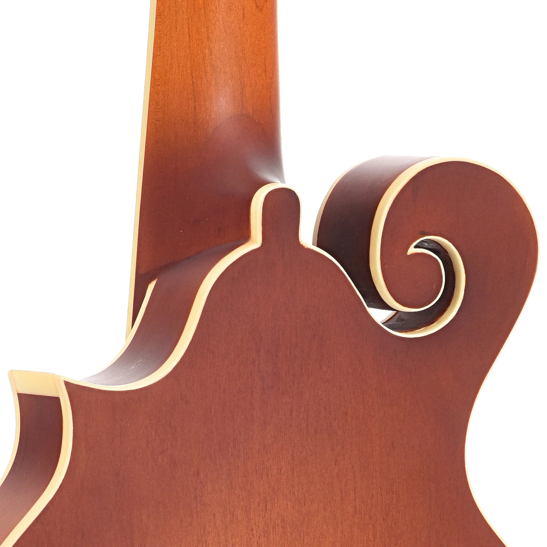 Gold Tone F-10 Acoustic-Electric 10-String Mandolin & Case - Image 10