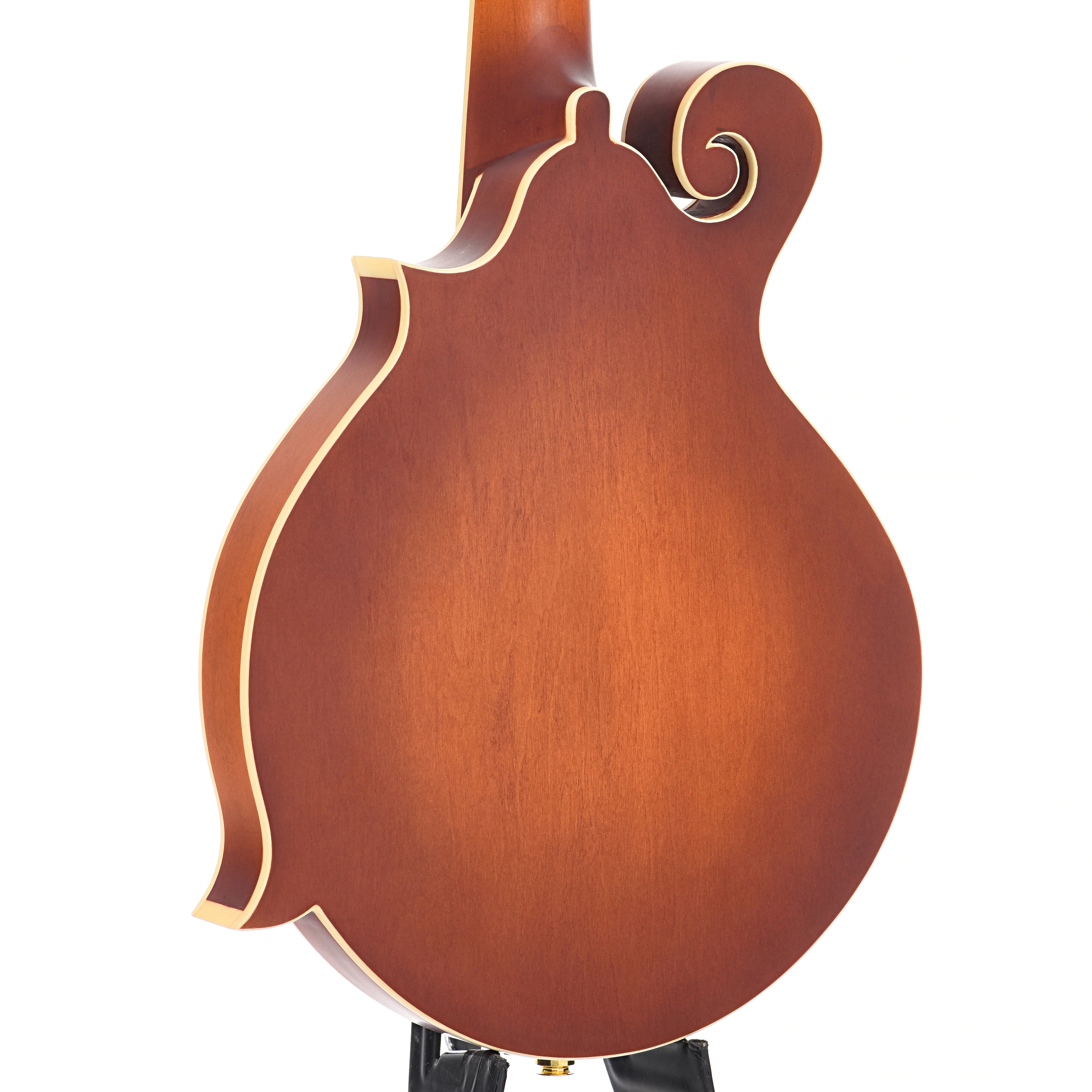 Gold Tone F-10 Acoustic-Electric 10-String Mandolin & Case - Image 11