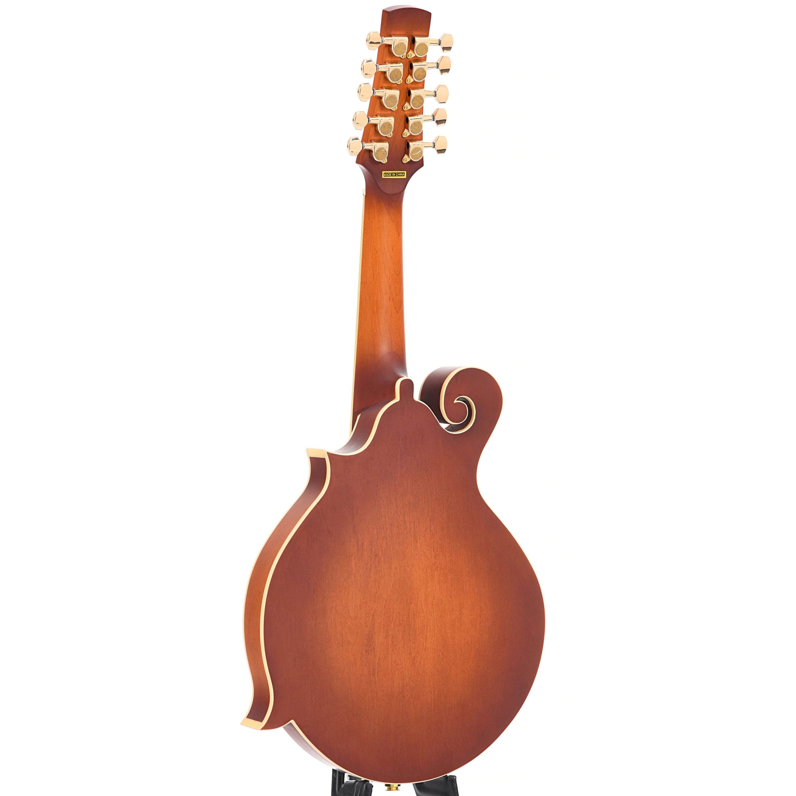 Gold Tone F-10 Acoustic-Electric 10-String Mandolin & Case - Image 12