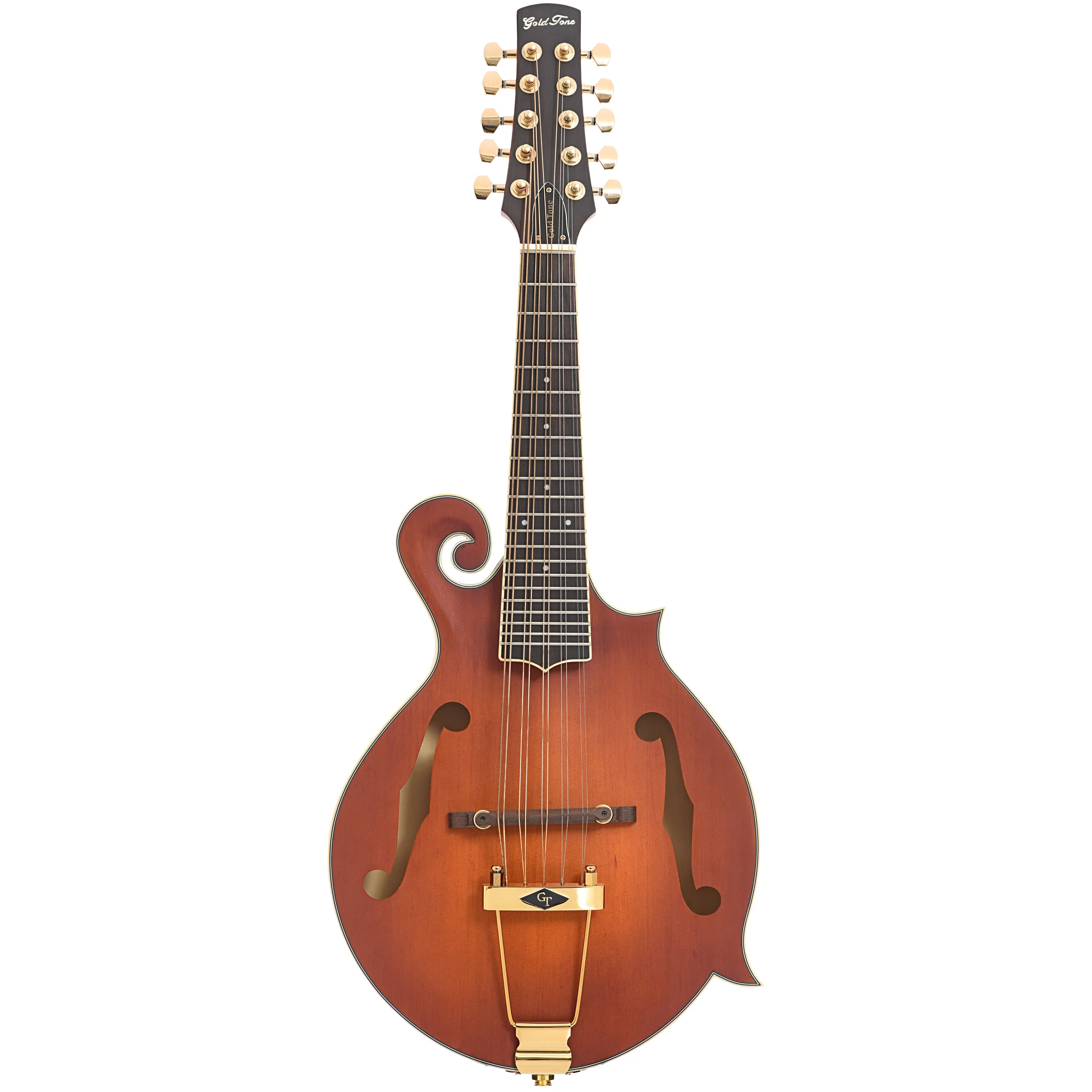 Gold Tone F-10 Acoustic-Electric 10-String Mandolin & Case - Image 14