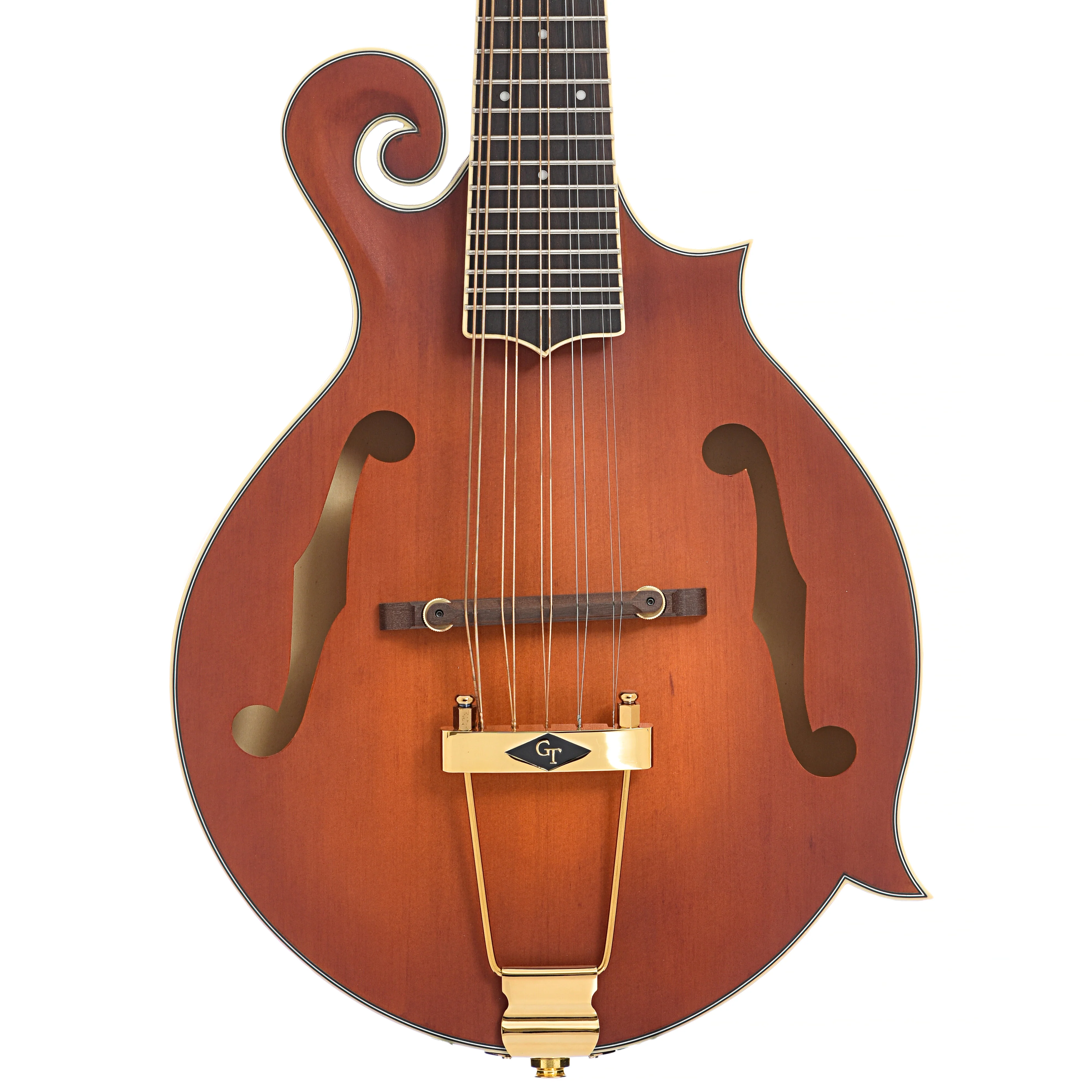 Gold Tone F-10 Acoustic-Electric 10-String Mandolin & Case - Image 2