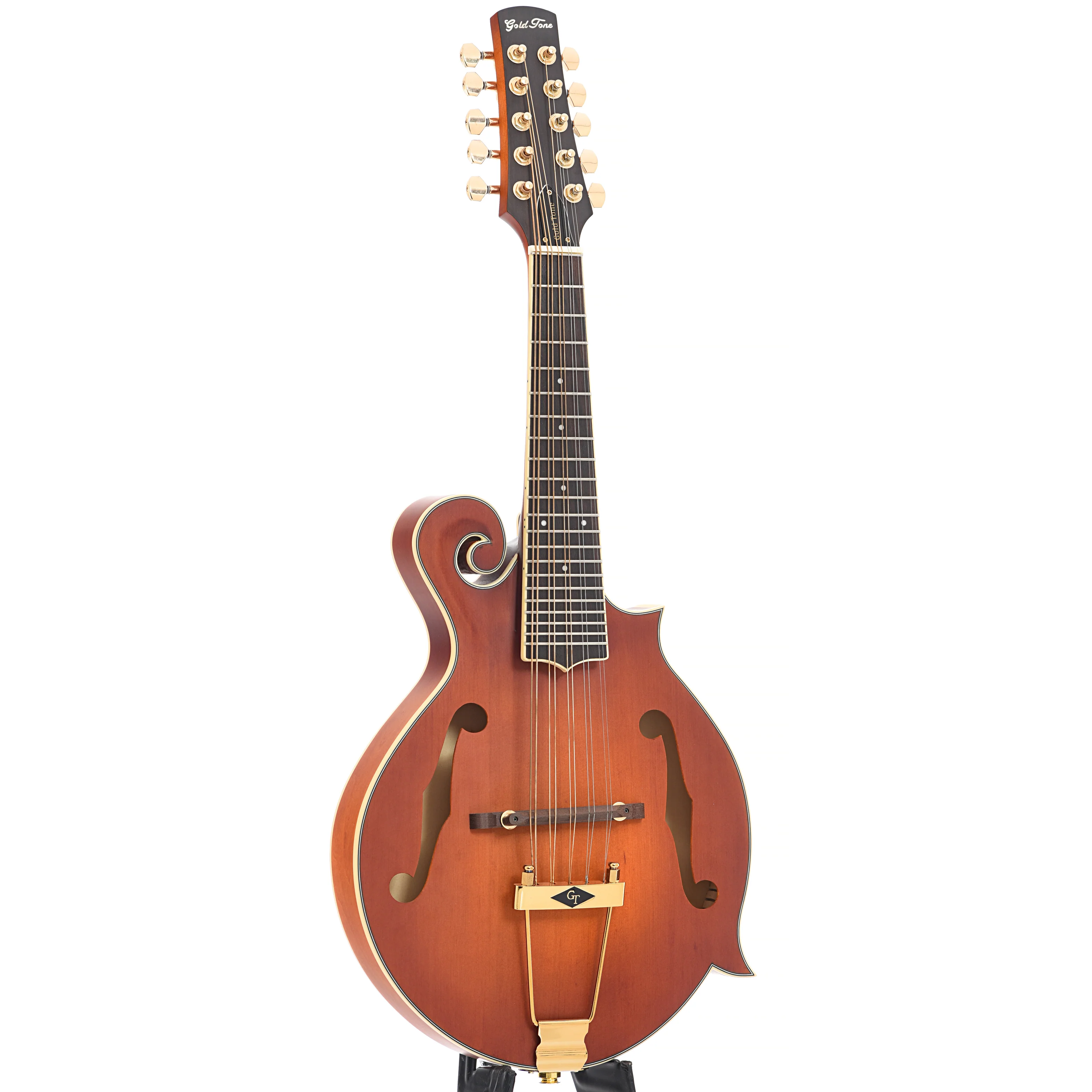 Gold Tone F-10 Acoustic-Electric 10-String Mandolin & Case - Image 3