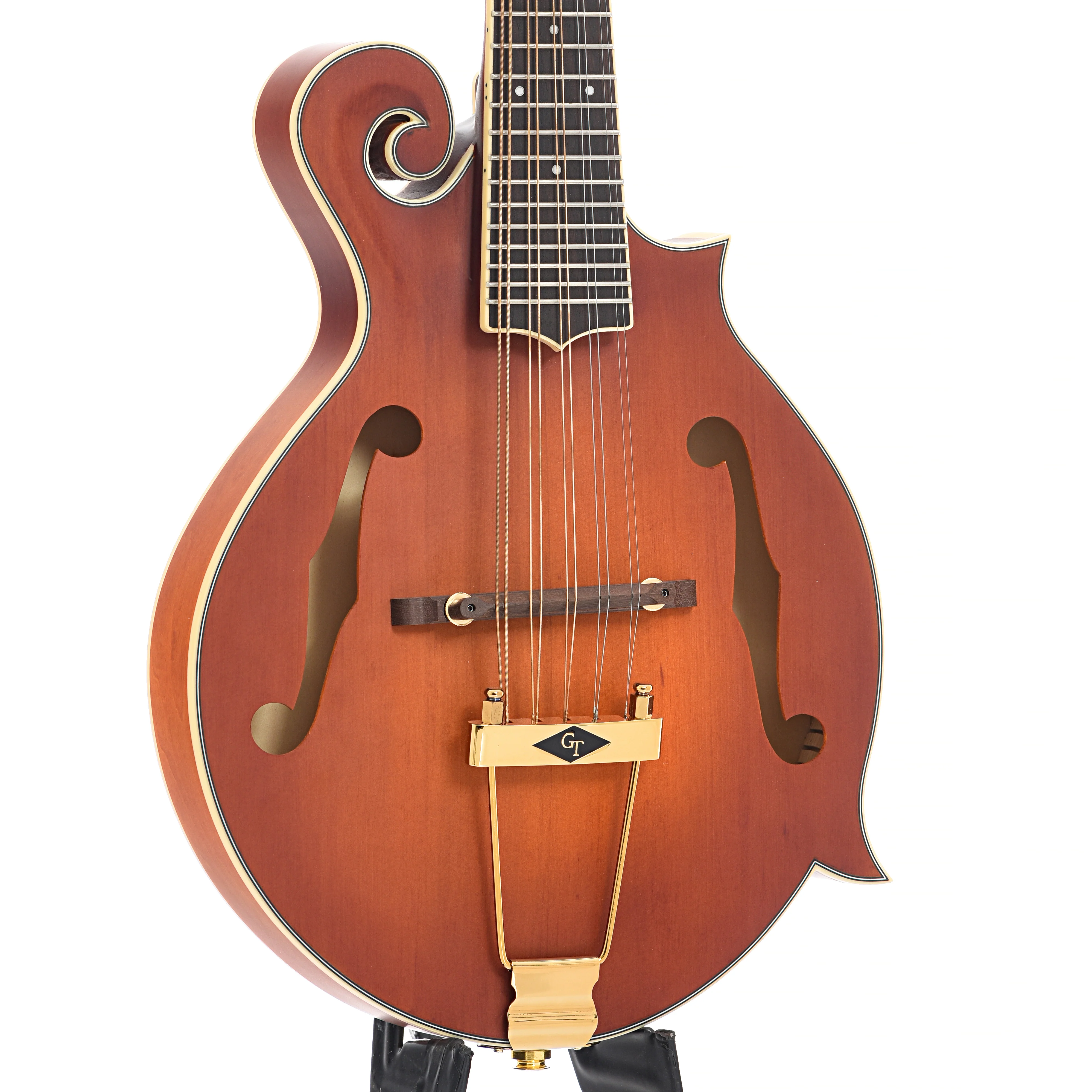 Gold Tone F-10 Acoustic-Electric 10-String Mandolin & Case - Image 4