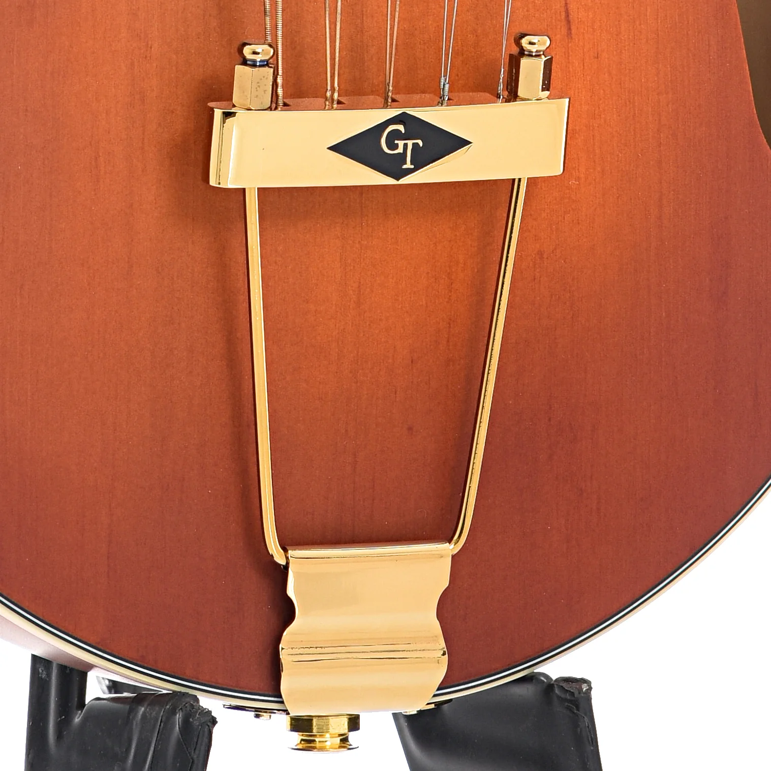 Gold Tone F-10 Acoustic-Electric 10-String Mandolin & Case - Image 5