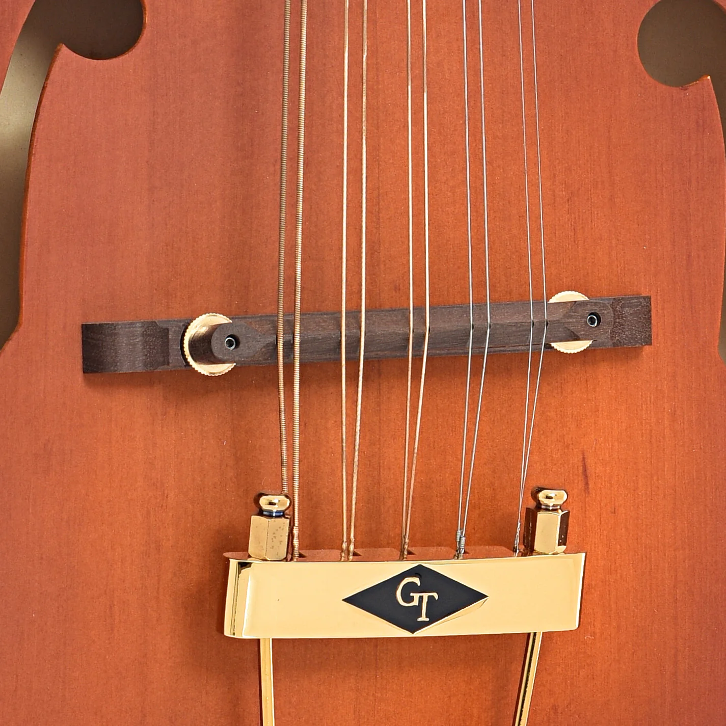 Gold Tone F-10 Acoustic-Electric 10-String Mandolin & Case - Image 6