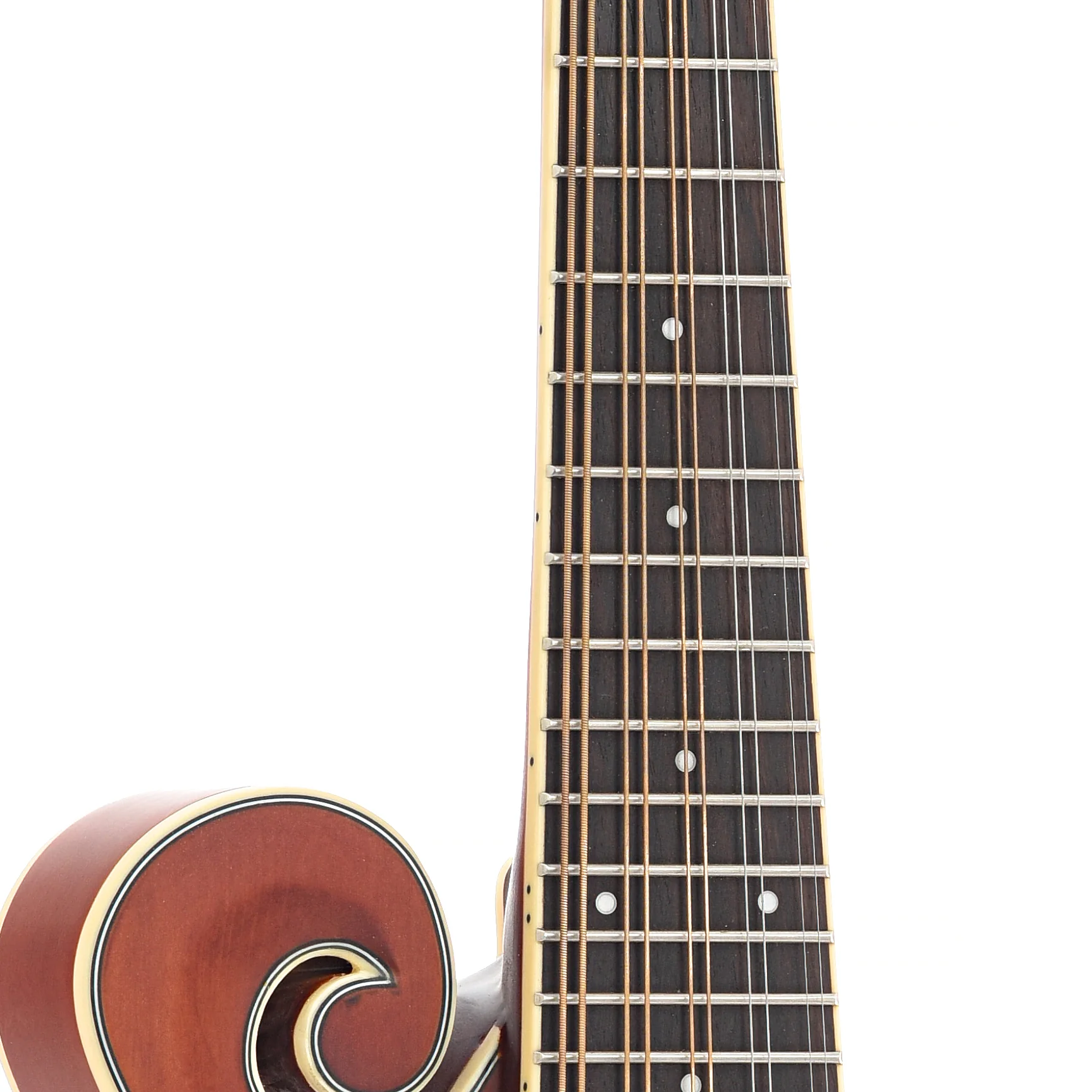 Gold Tone F-10 Acoustic-Electric 10-String Mandolin & Case - Image 7