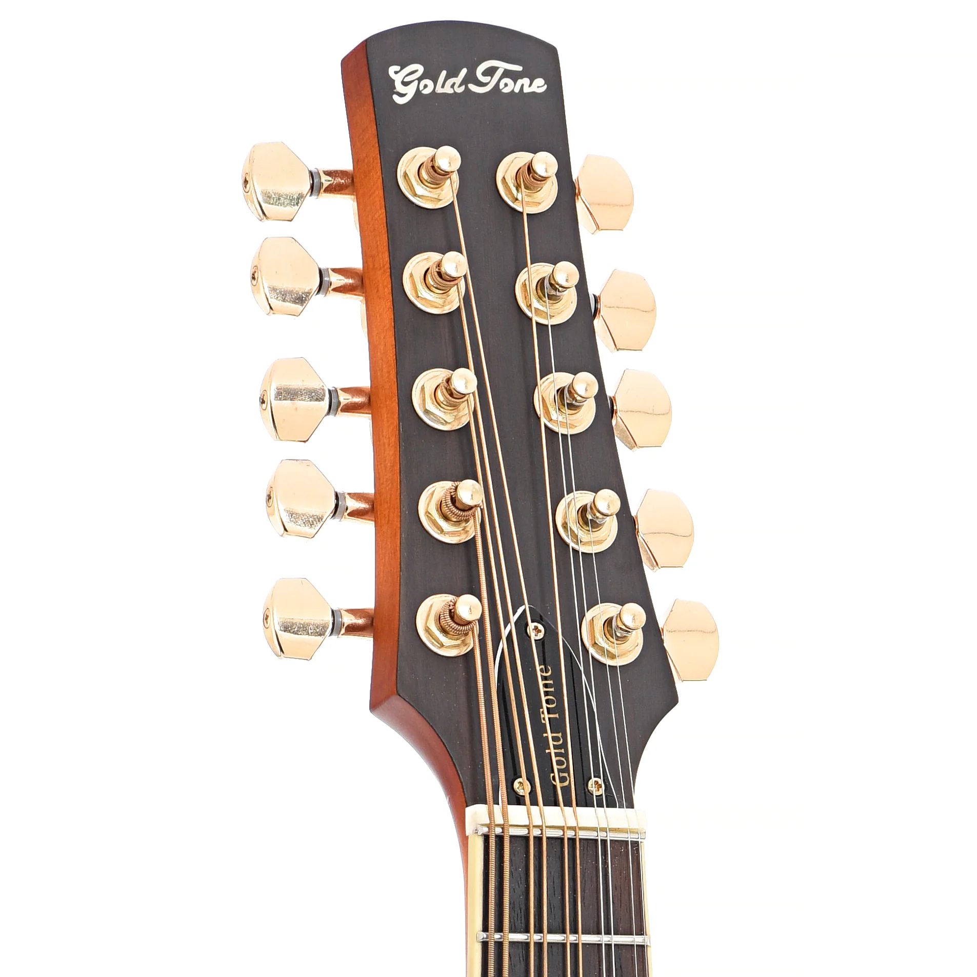 Gold Tone F-10 Acoustic-Electric 10-String Mandolin & Case - Image 8