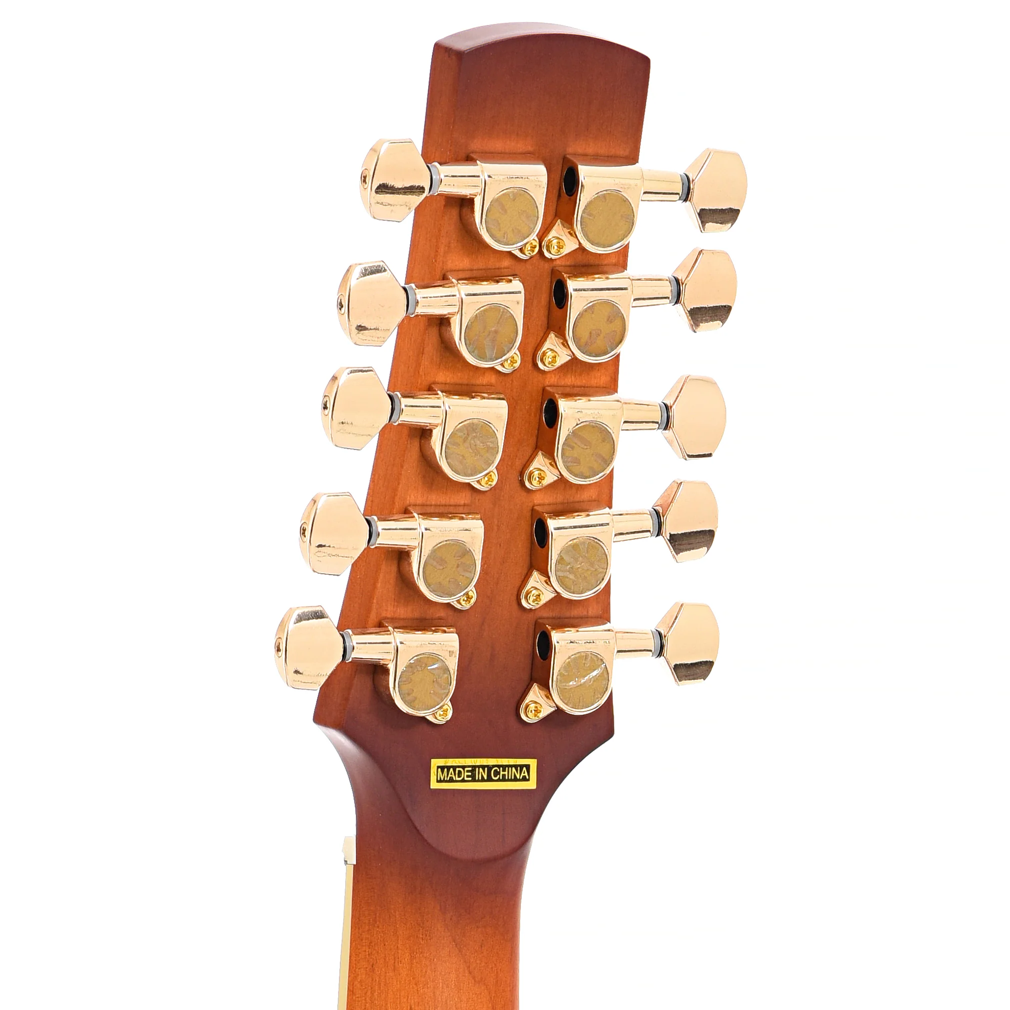 Gold Tone F-10 Acoustic-Electric 10-String Mandolin & Case - Image 9