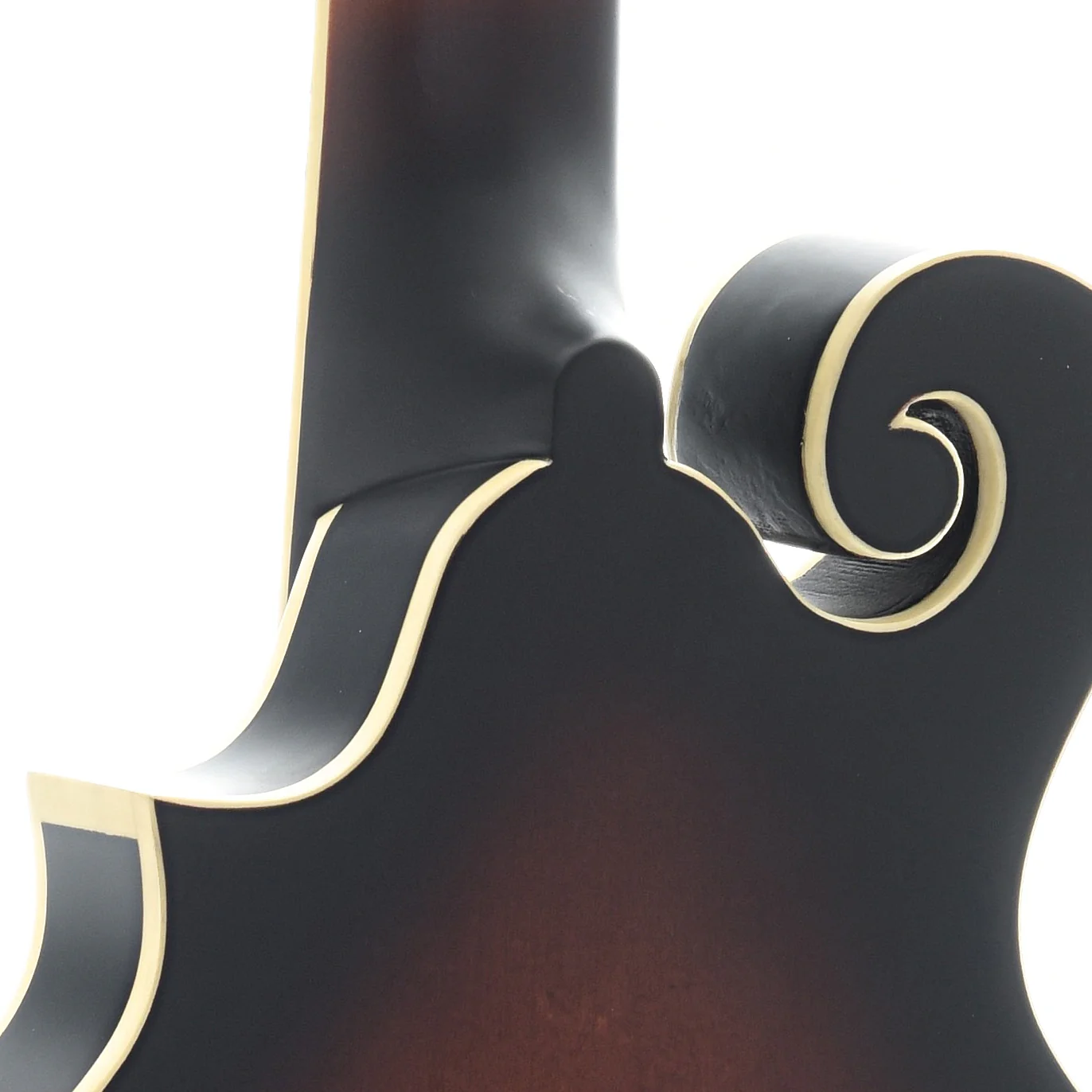 Gold Tone F-12 Acoustic-Electric 12-String Manditar & Case - Image 10