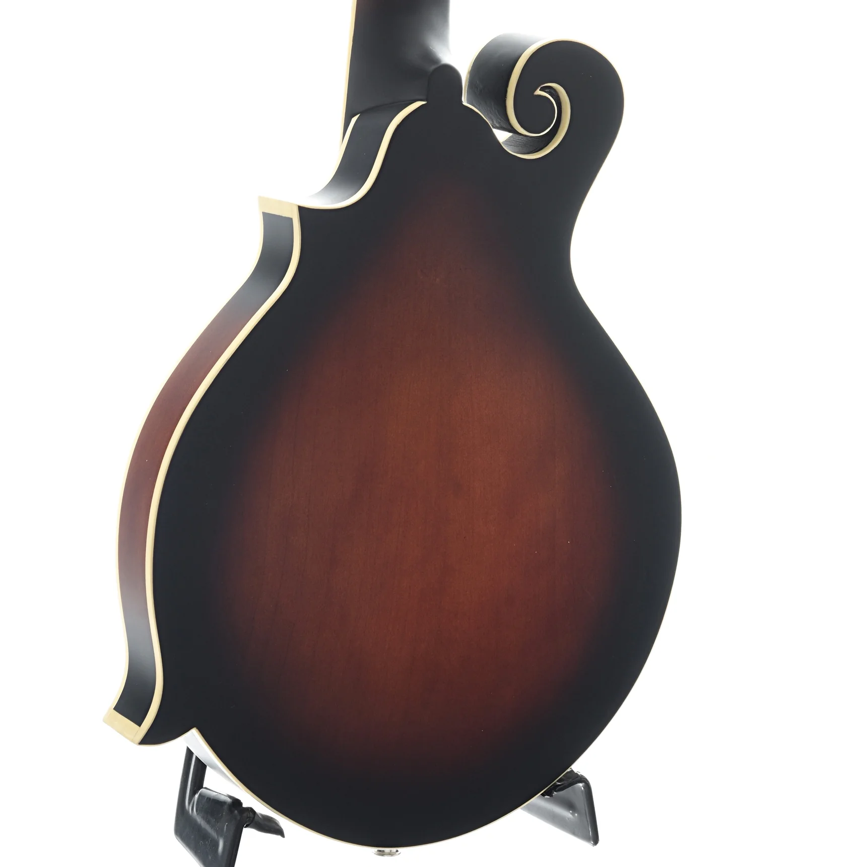 Gold Tone F-12 Acoustic-Electric 12-String Manditar & Case - Image 11