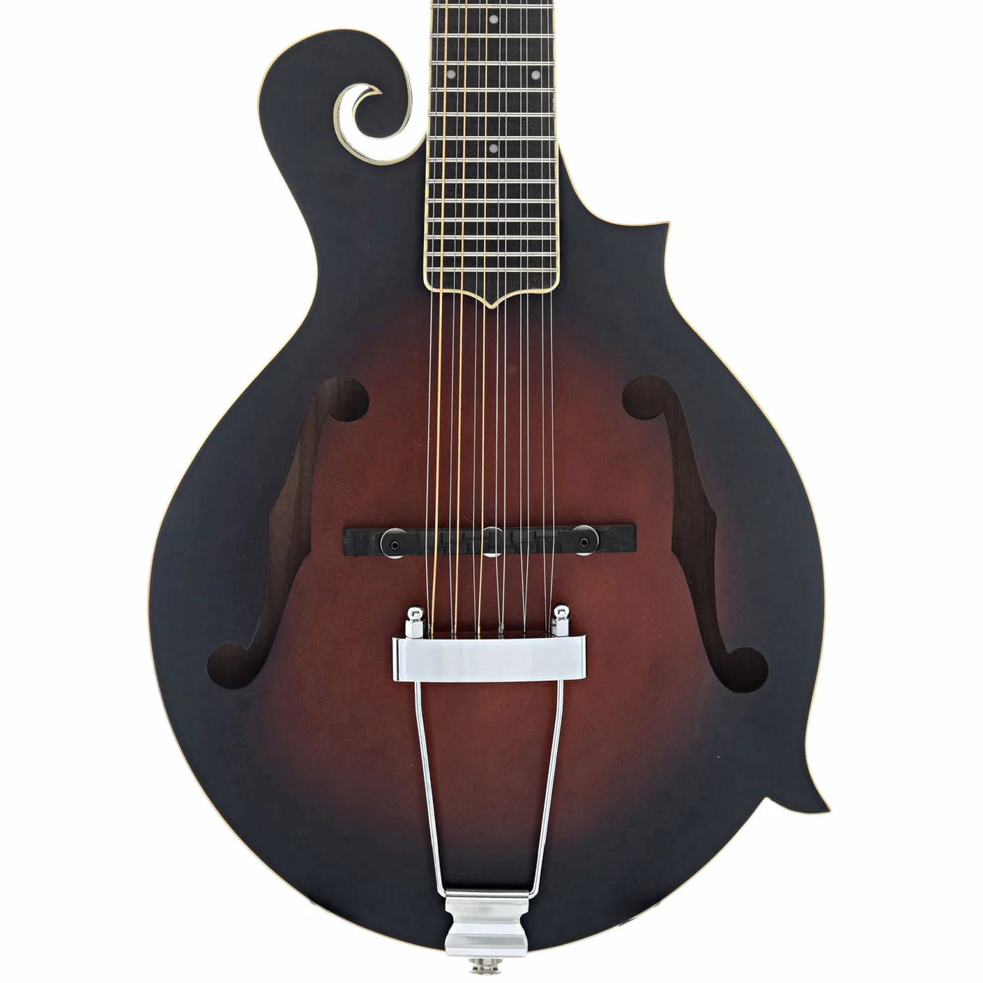 Gold Tone F-12 Acoustic-Electric 12-String Manditar & Case - Image 2