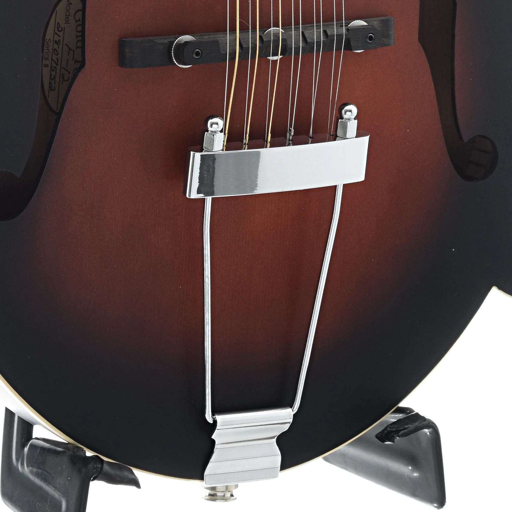Gold Tone F-12 Acoustic-Electric 12-String Manditar & Case - Image 5