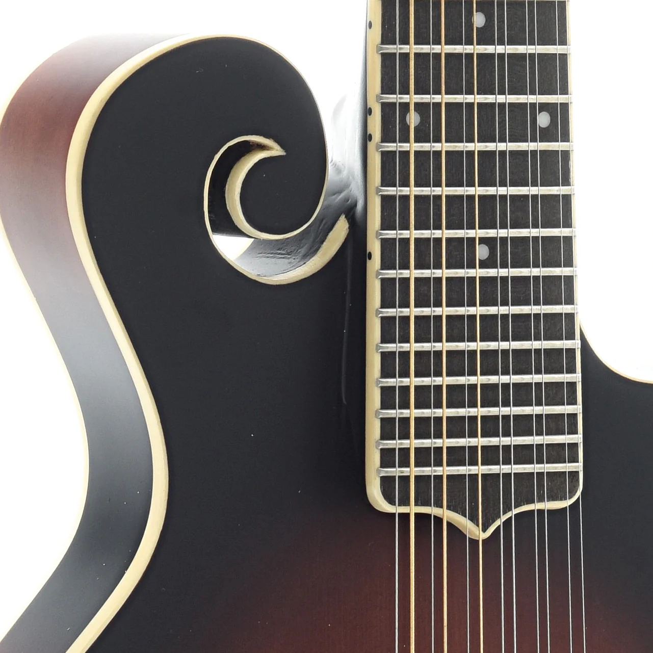 Gold Tone F-12 Acoustic-Electric 12-String Manditar & Case - Image 6