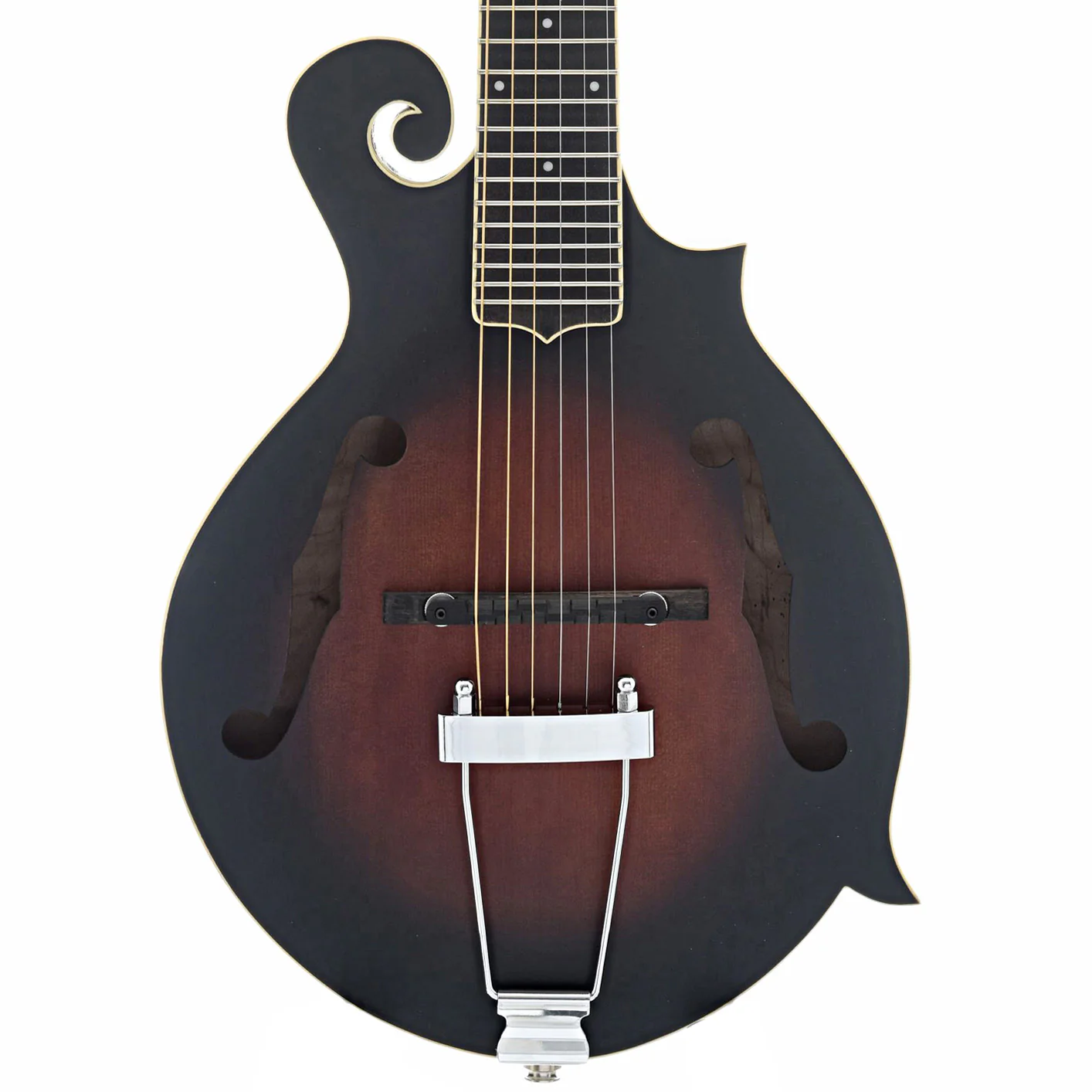 Gold Tone F-6 Acoustic-Electric 6-String Manditar & Case - Image 2