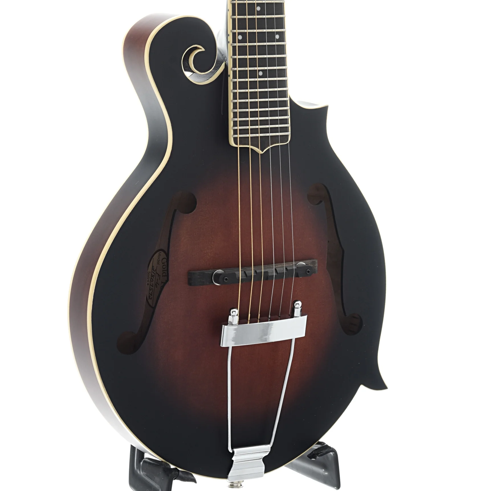 Gold Tone F-6 Acoustic-Electric 6-String Manditar & Case - Image 3