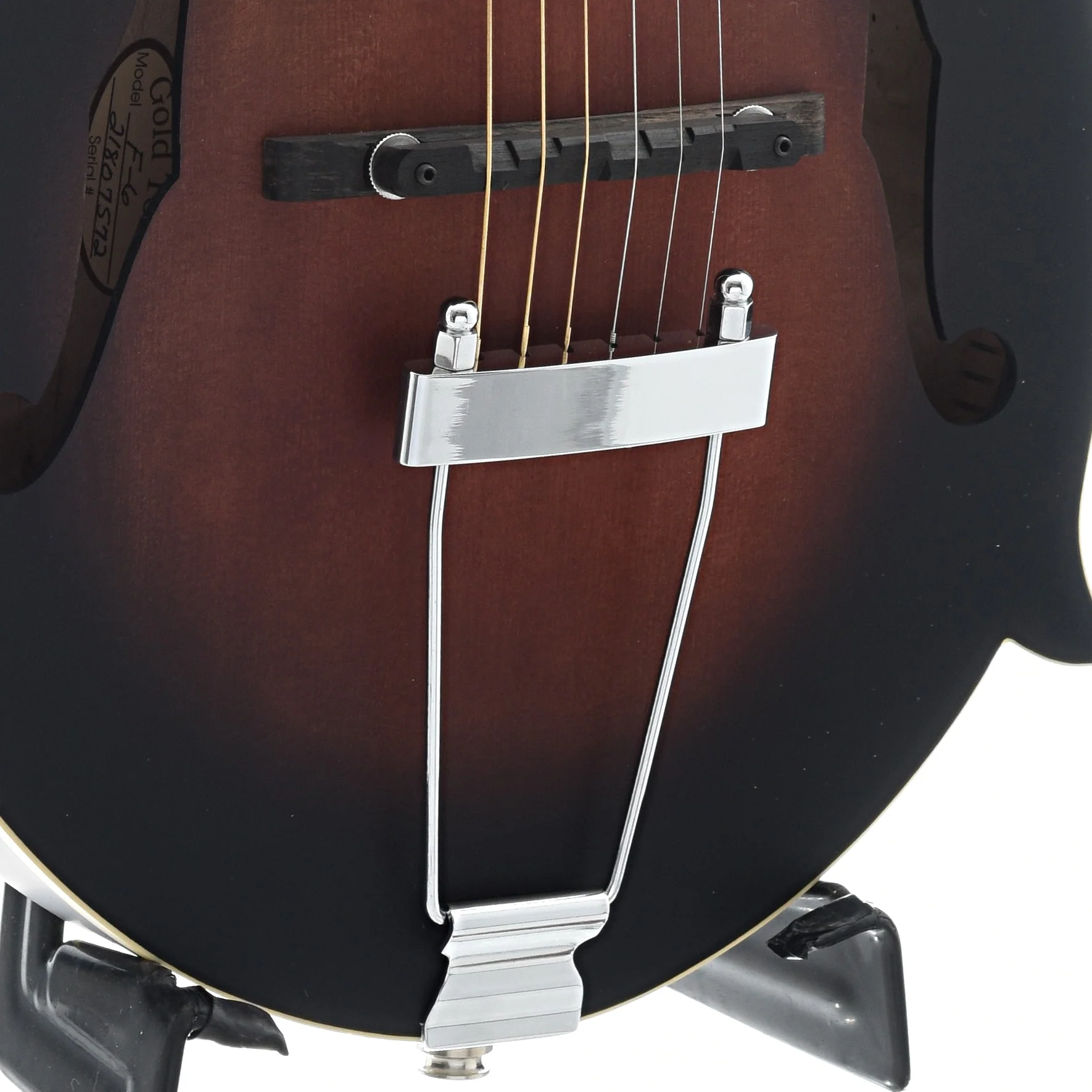 Gold Tone F-6 Acoustic-Electric 6-String Manditar & Case - Image 4