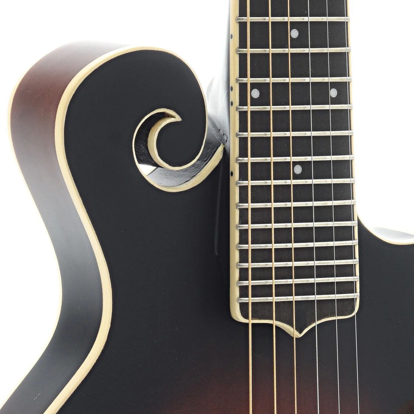 Gold Tone F-6 Acoustic-Electric 6-String Manditar & Case - Image 6