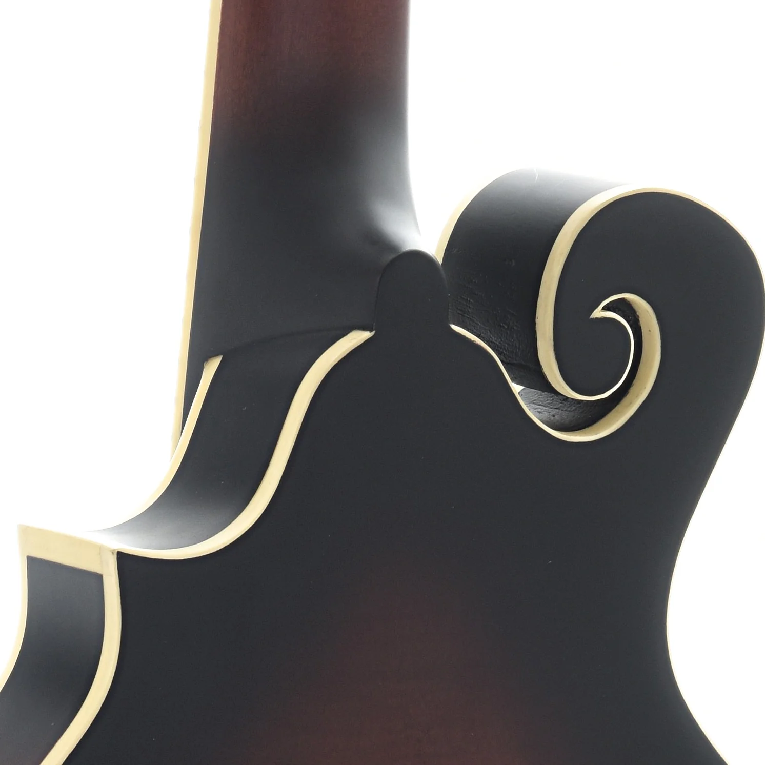 Gold Tone F-6 Acoustic-Electric 6-String Manditar & Case - Image 8