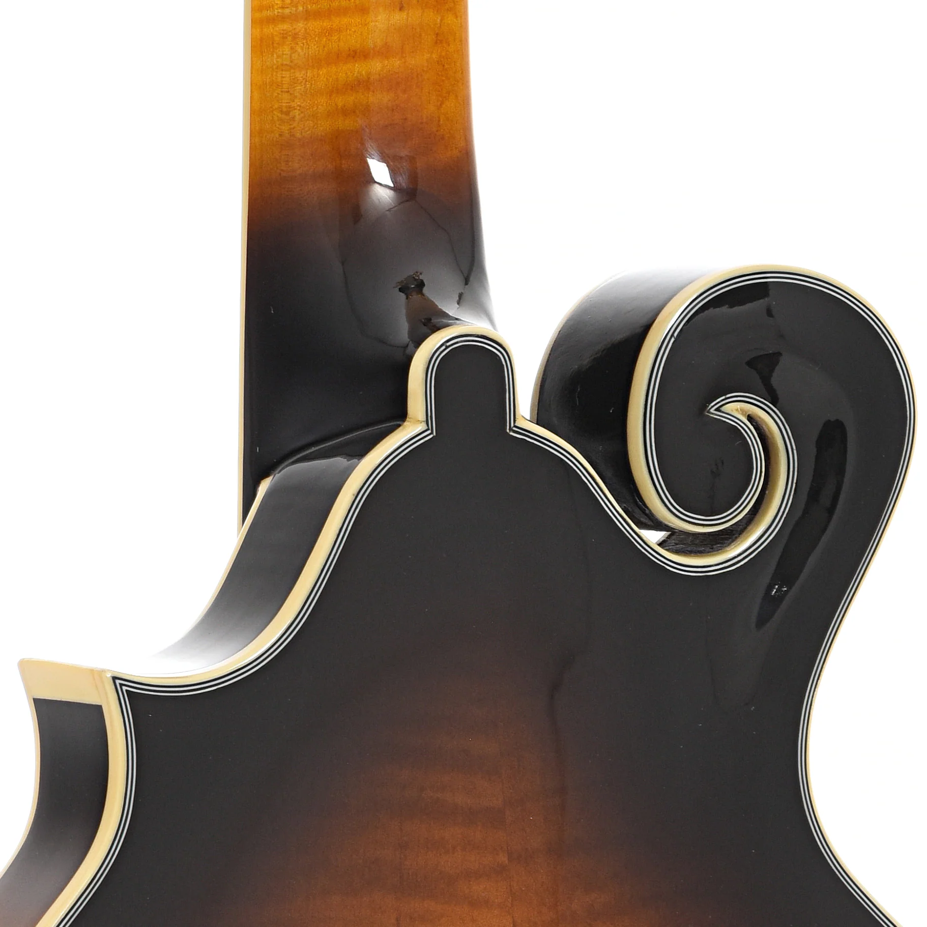 Gold Tone F-6+ Acoustic-Electric 6-String Manditar & Case - Image 10