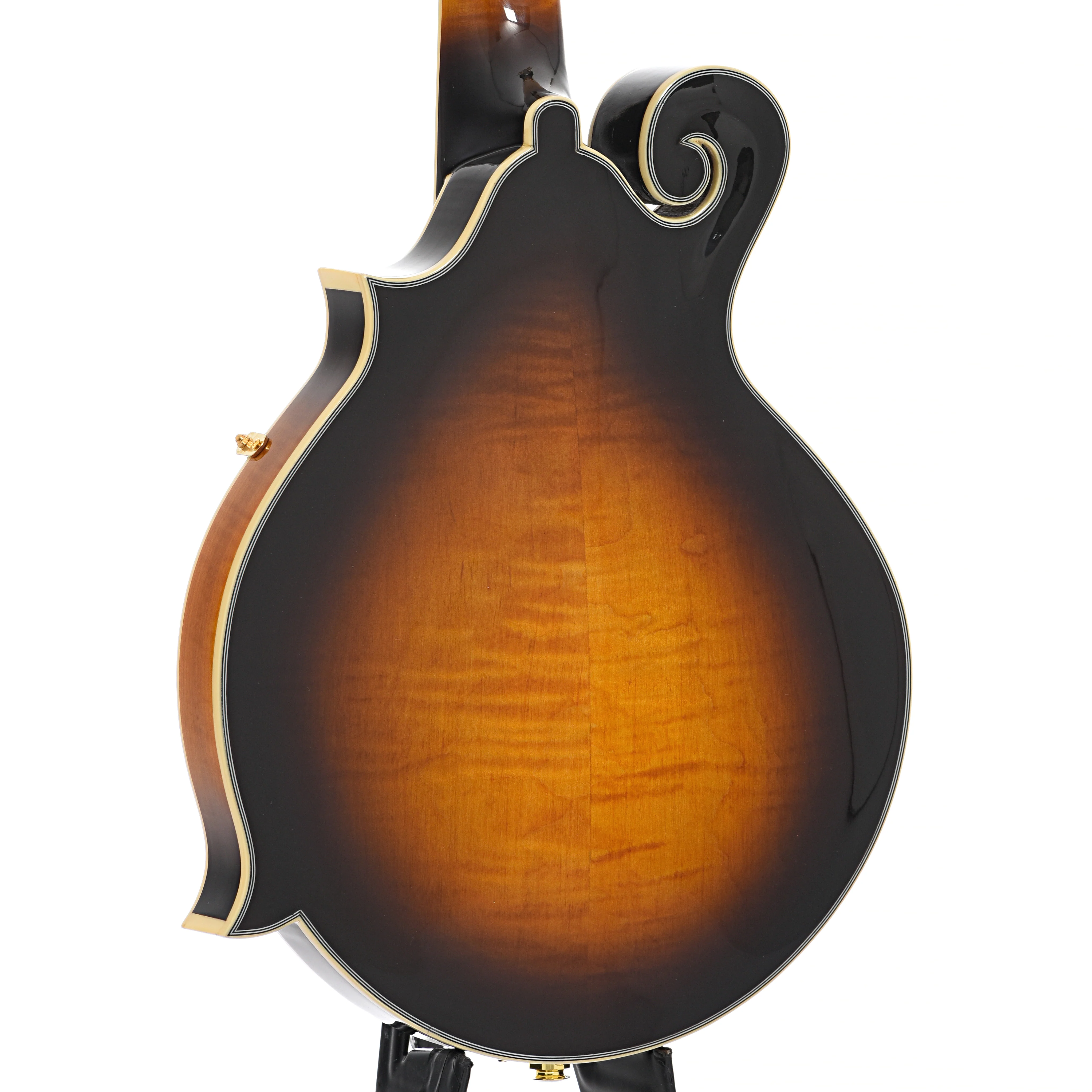 Gold Tone F-6+ Acoustic-Electric 6-String Manditar & Case - Image 11