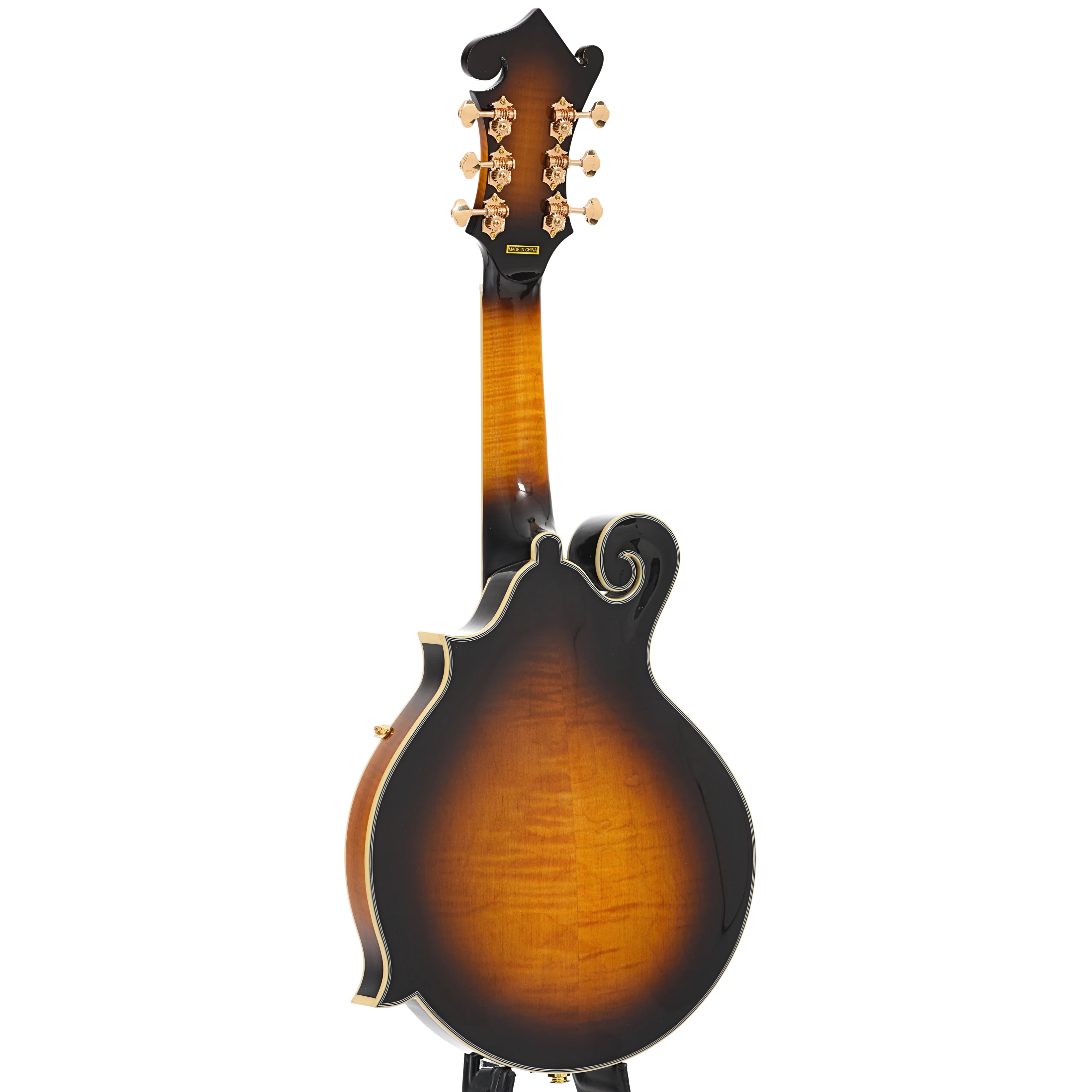 Gold Tone F-6+ Acoustic-Electric 6-String Manditar & Case - Image 12