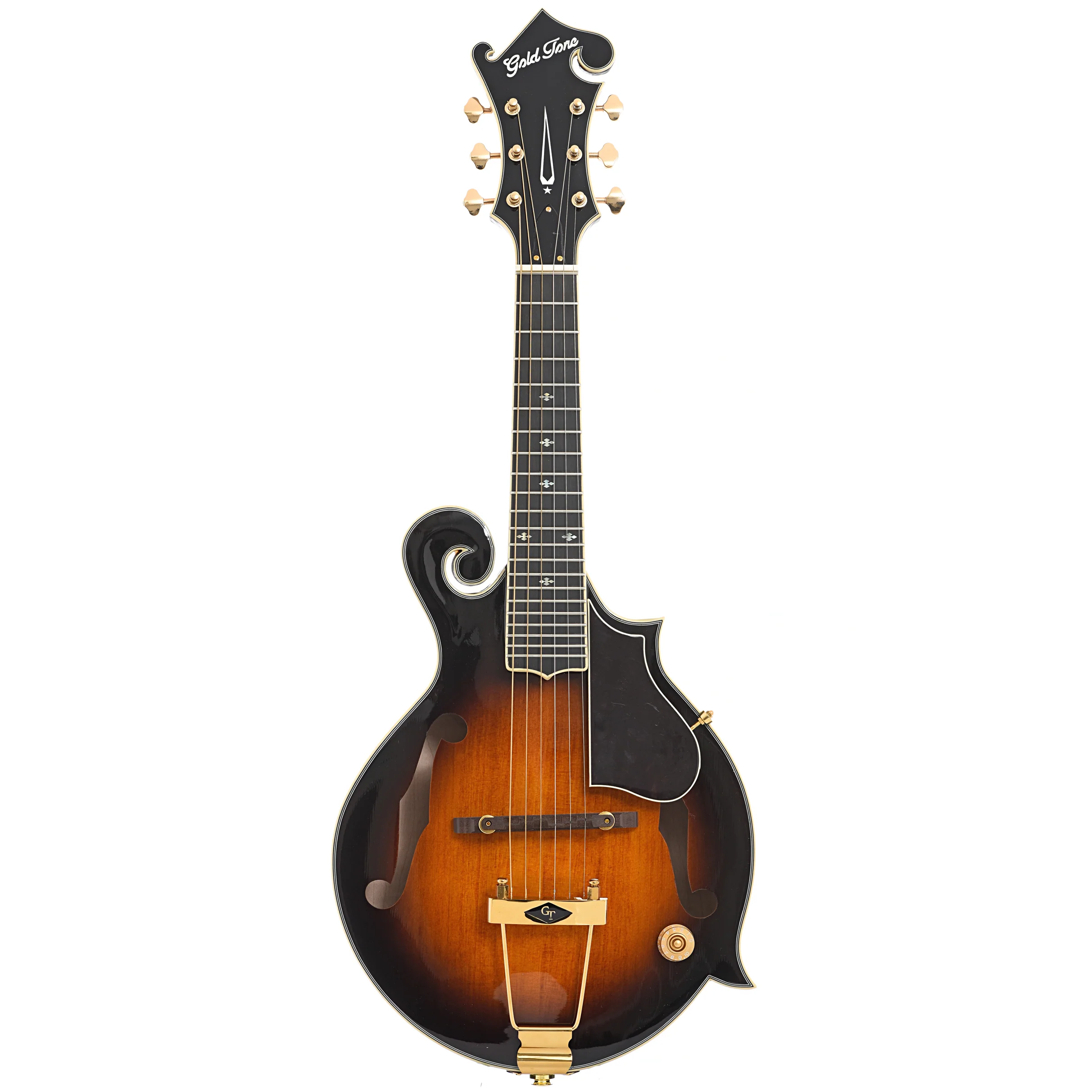 Gold Tone F-6+ Acoustic-Electric 6-String Manditar & Case - Image 14