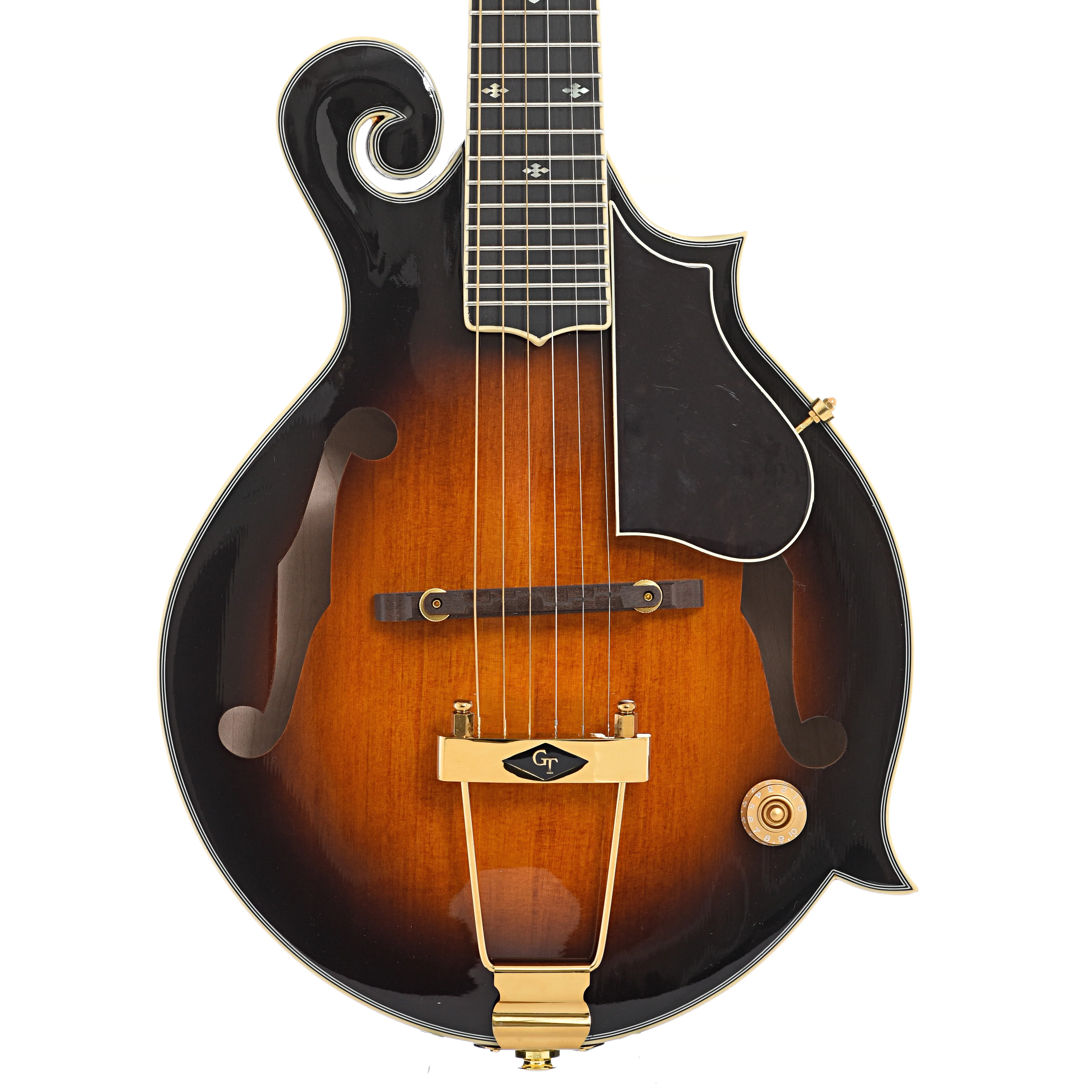 Gold Tone F-6+ Acoustic-Electric 6-String Manditar & Case - Image 2