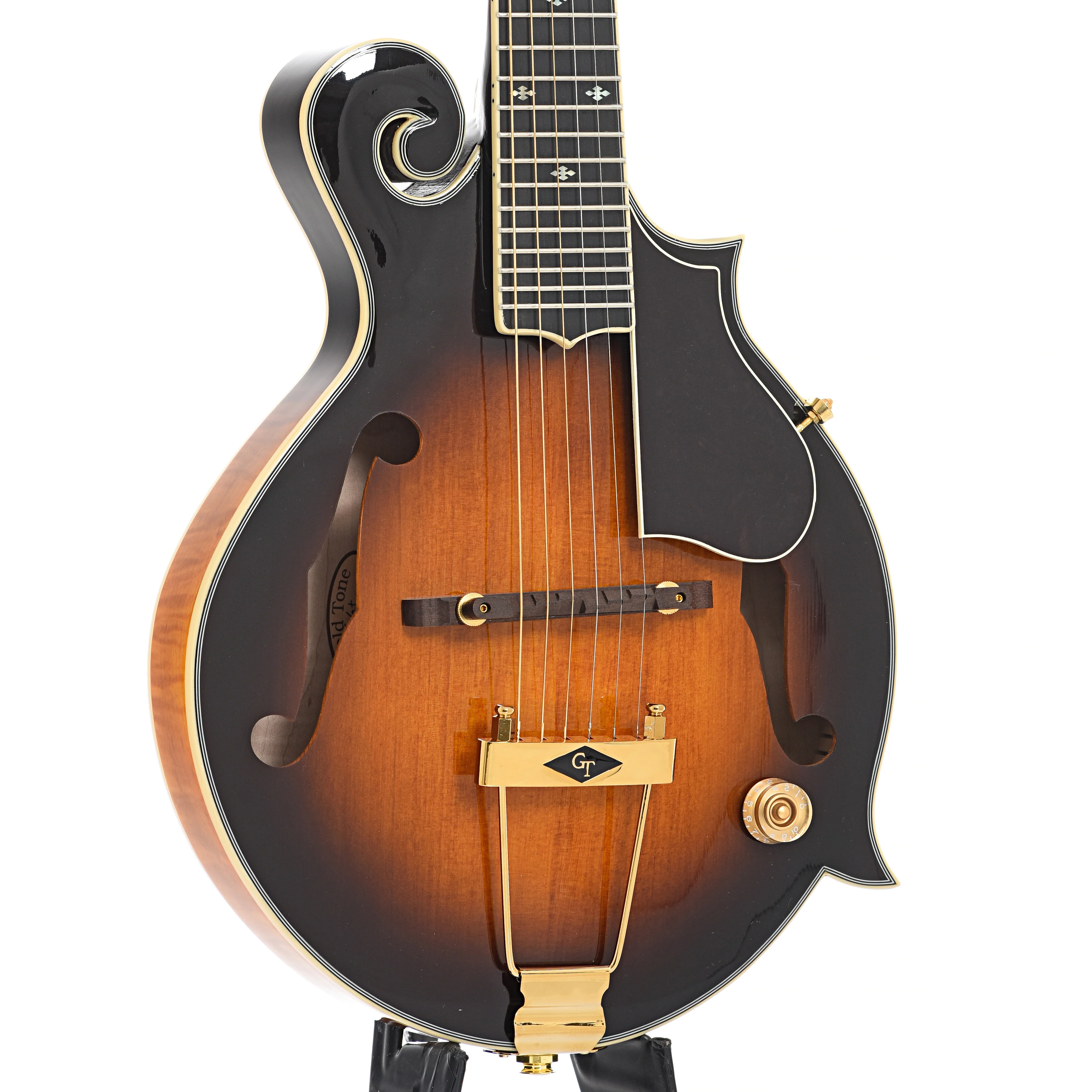 Gold Tone F-6+ Acoustic-Electric 6-String Manditar & Case - Image 4