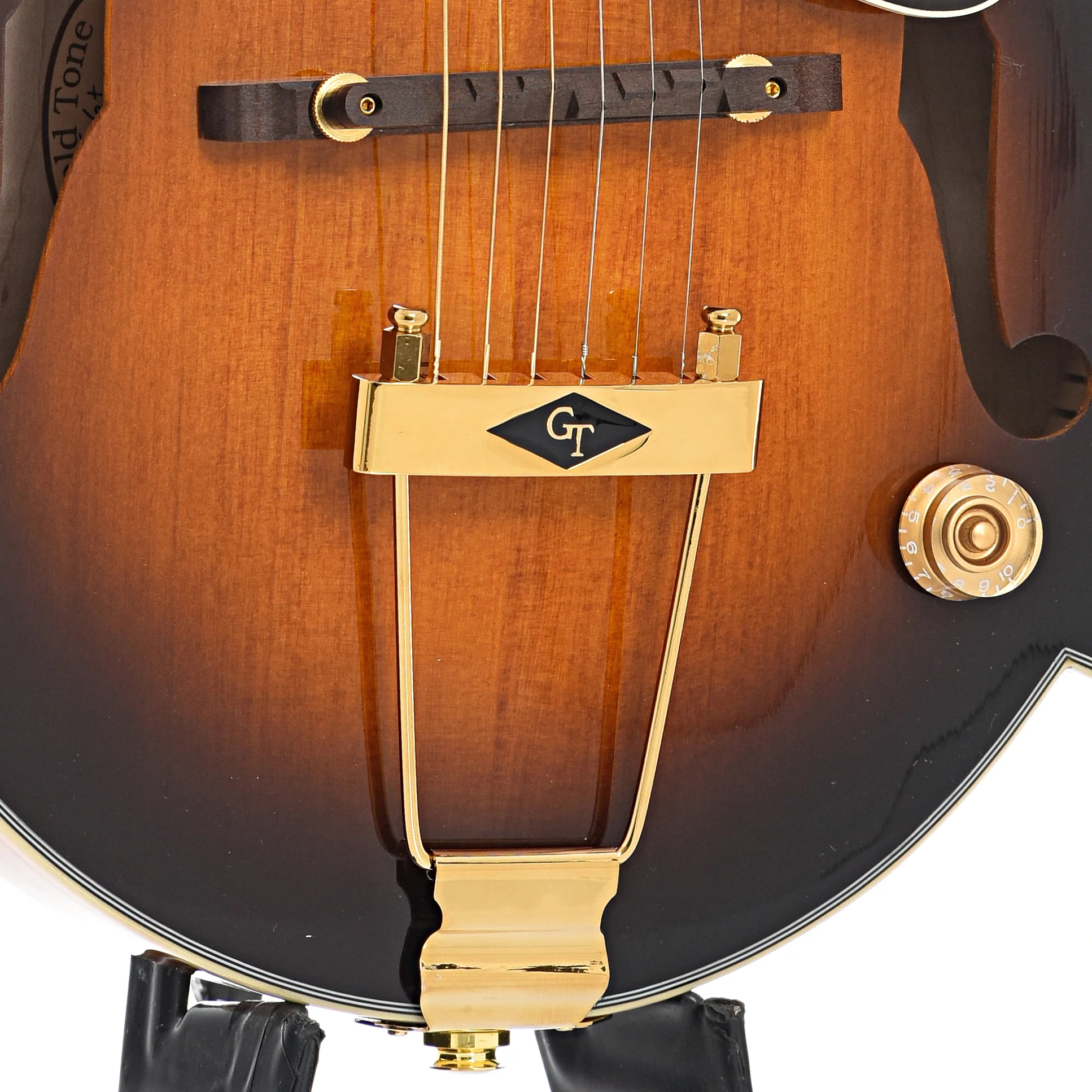 Gold Tone F-6+ Acoustic-Electric 6-String Manditar & Case - Image 5